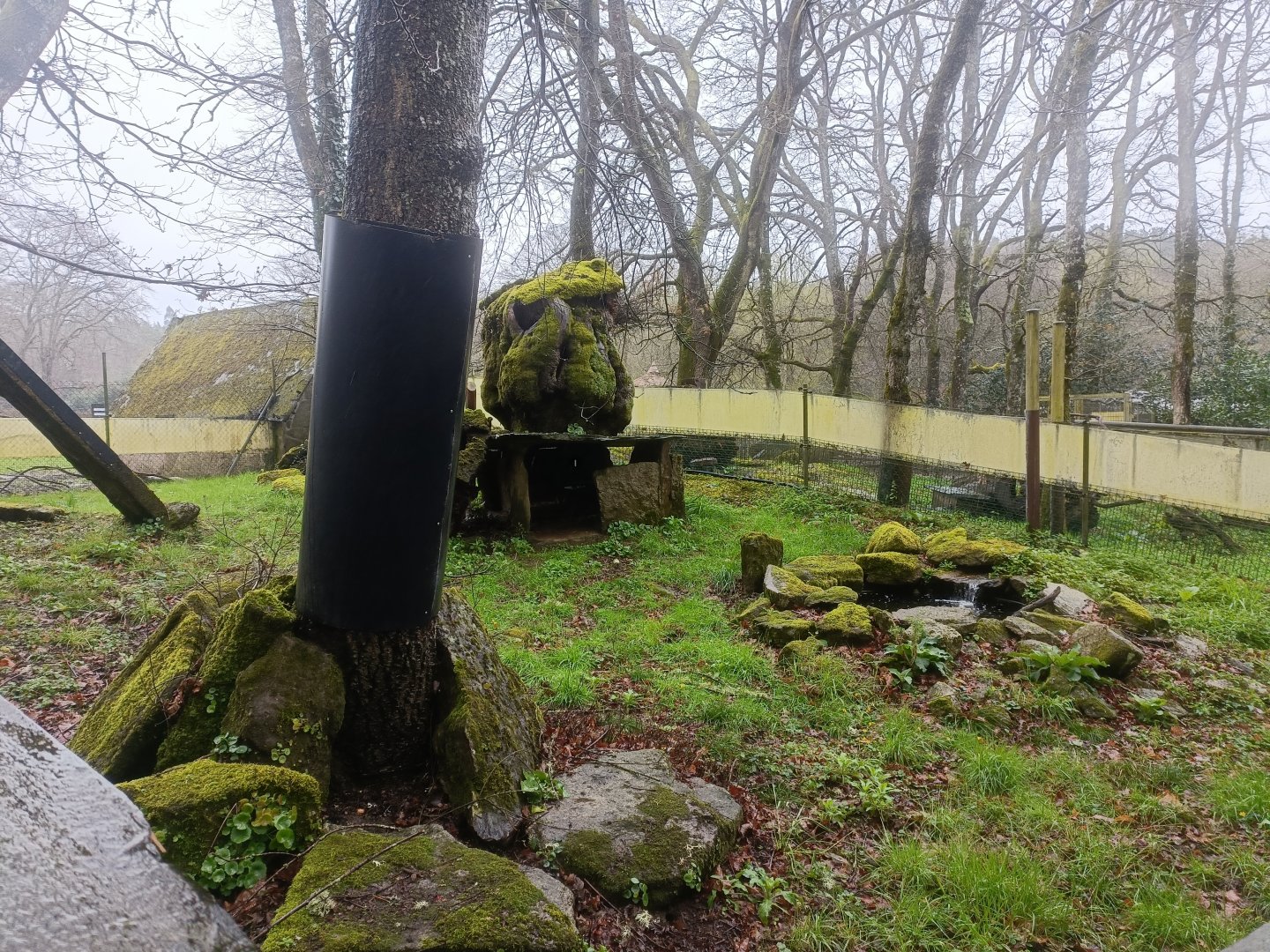 European mink exhibit -Marcelle Naturaleza