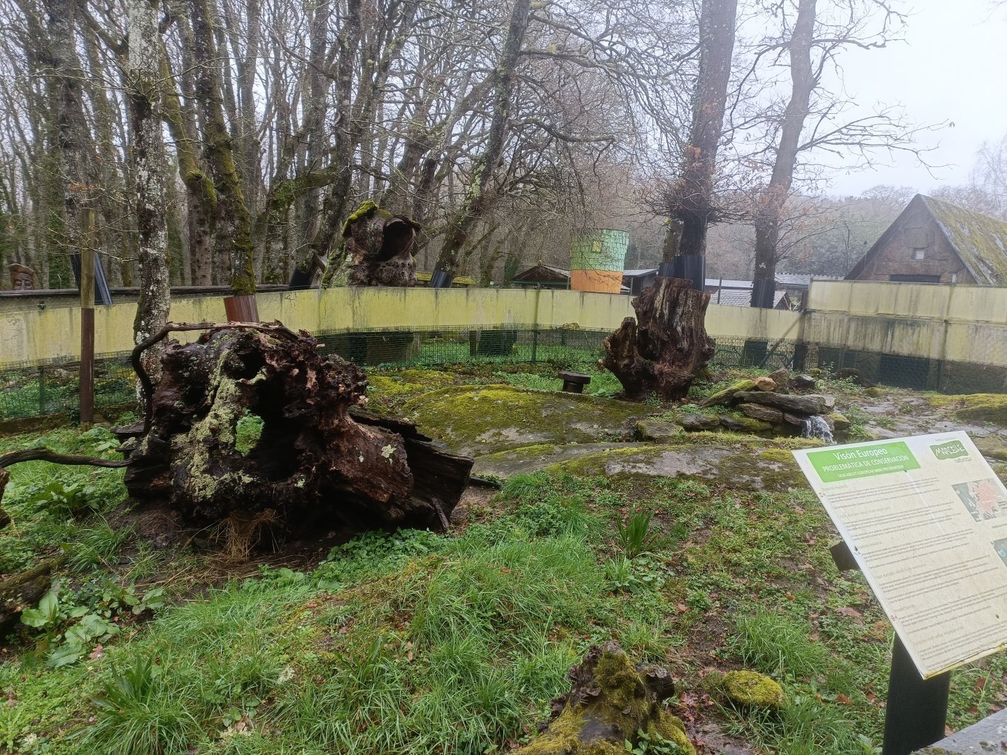European mink exhibit -Marcelle Naturaleza