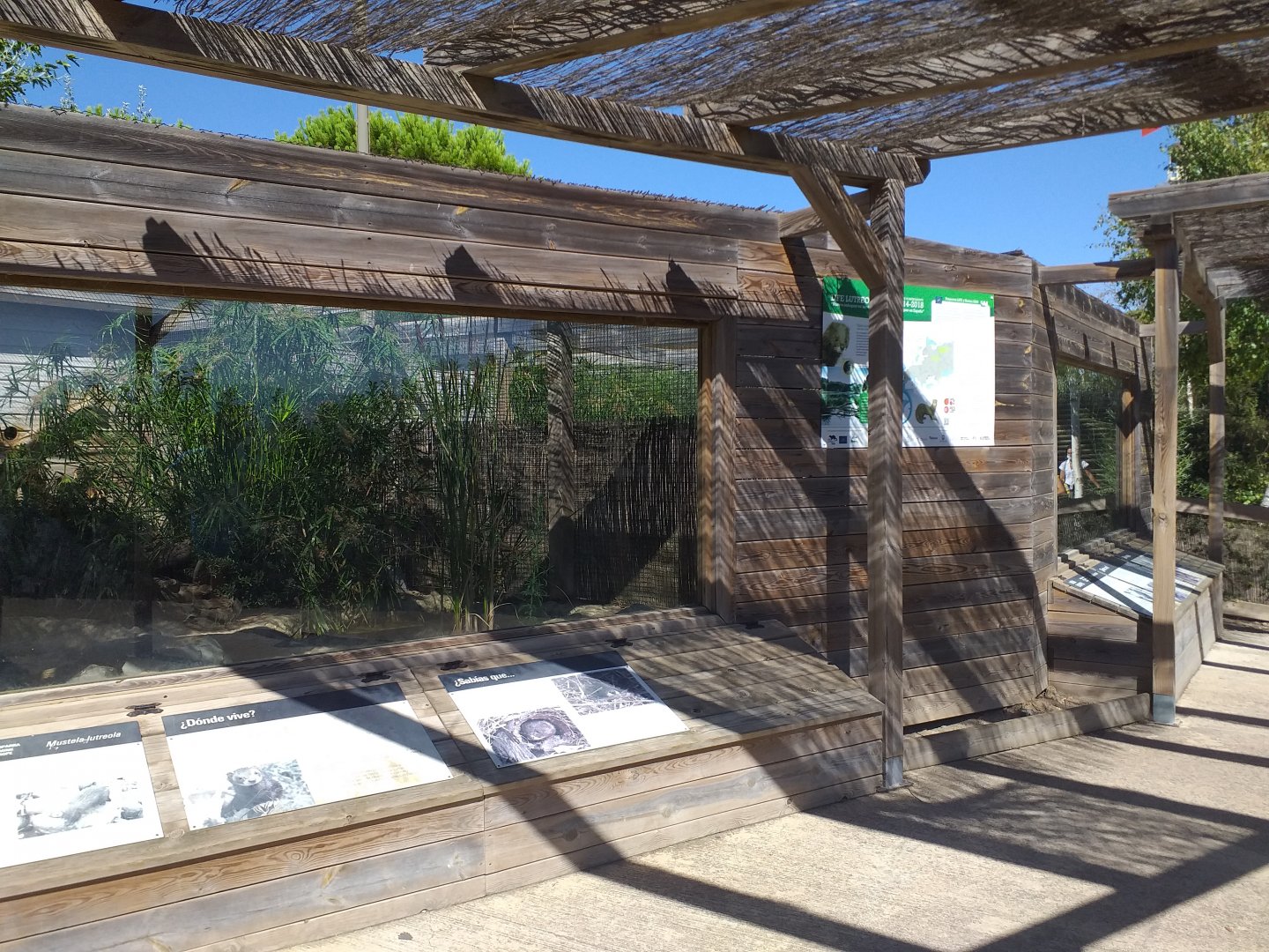 European mink exhibit -Sendaviva (2020)