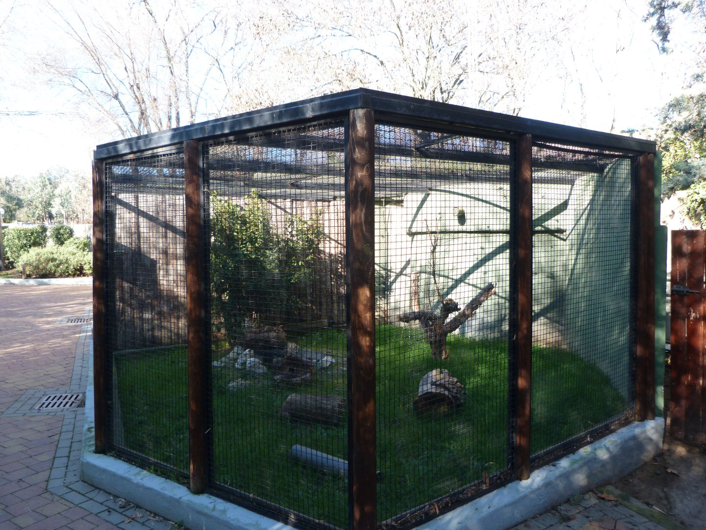 European mink exhibit -Zoo Aquarium de Madrid (2025)