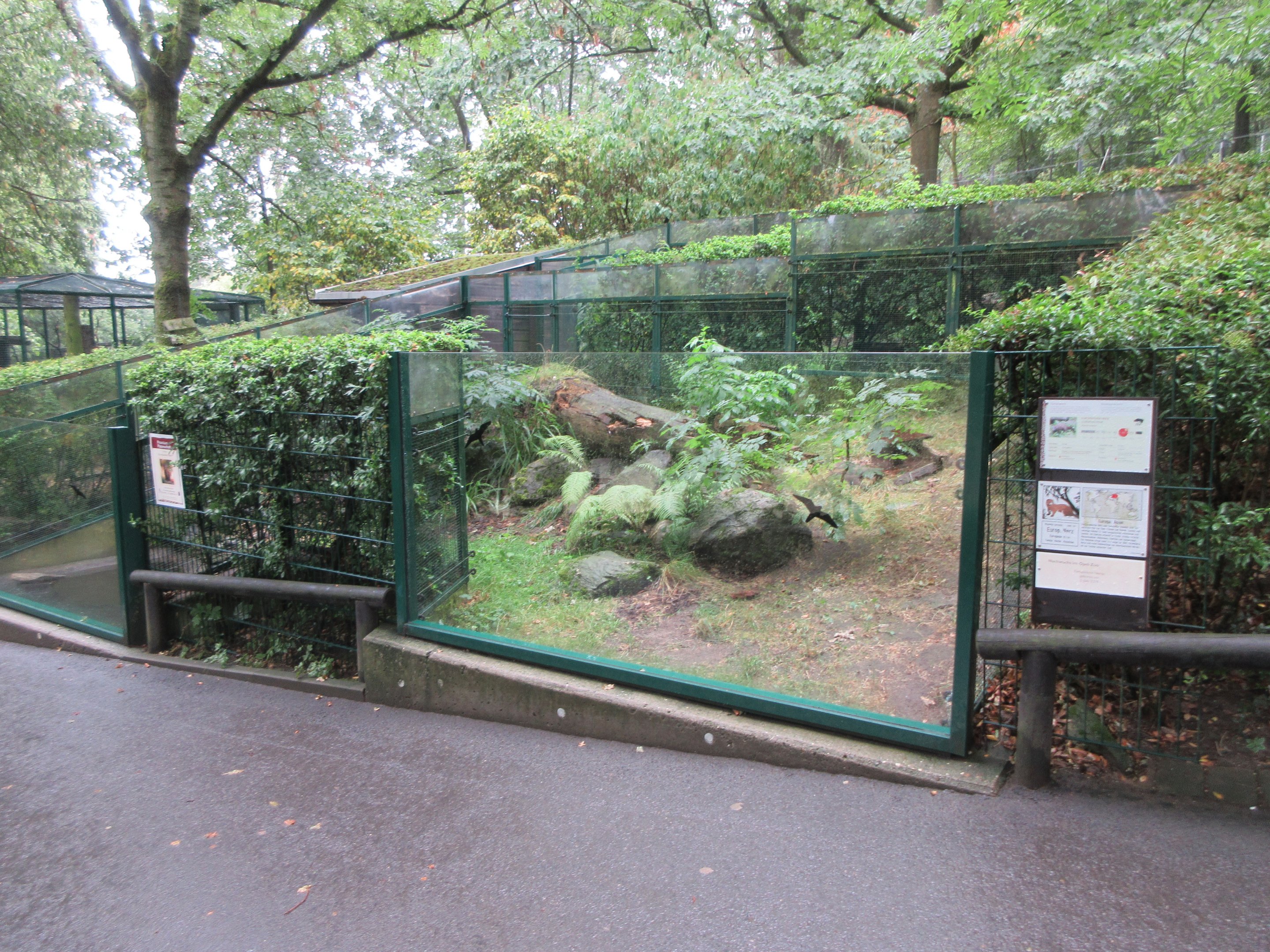 European Mink Exhibit