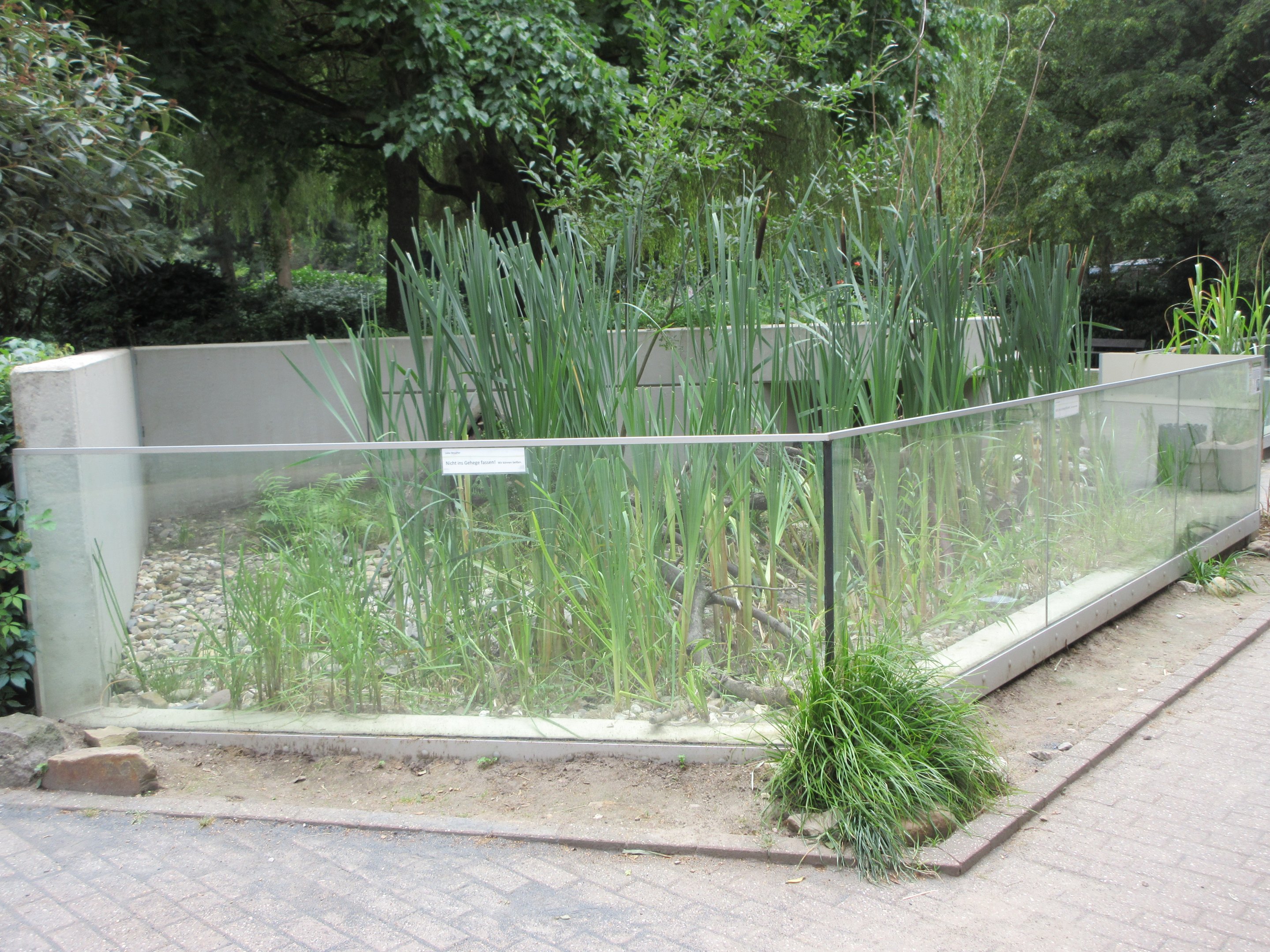 European Mink Exhibit