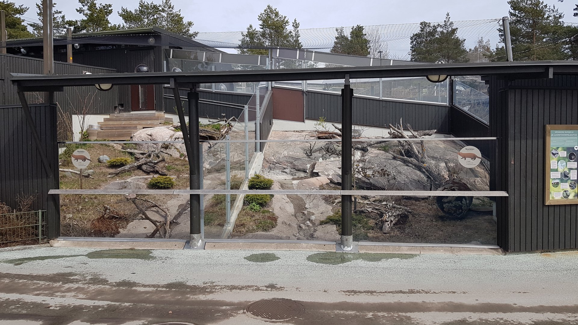 European mink exhibit