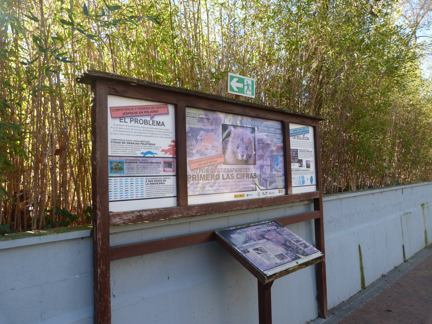 European mink signs -Zoo Aquarium de Madrid (2025)
