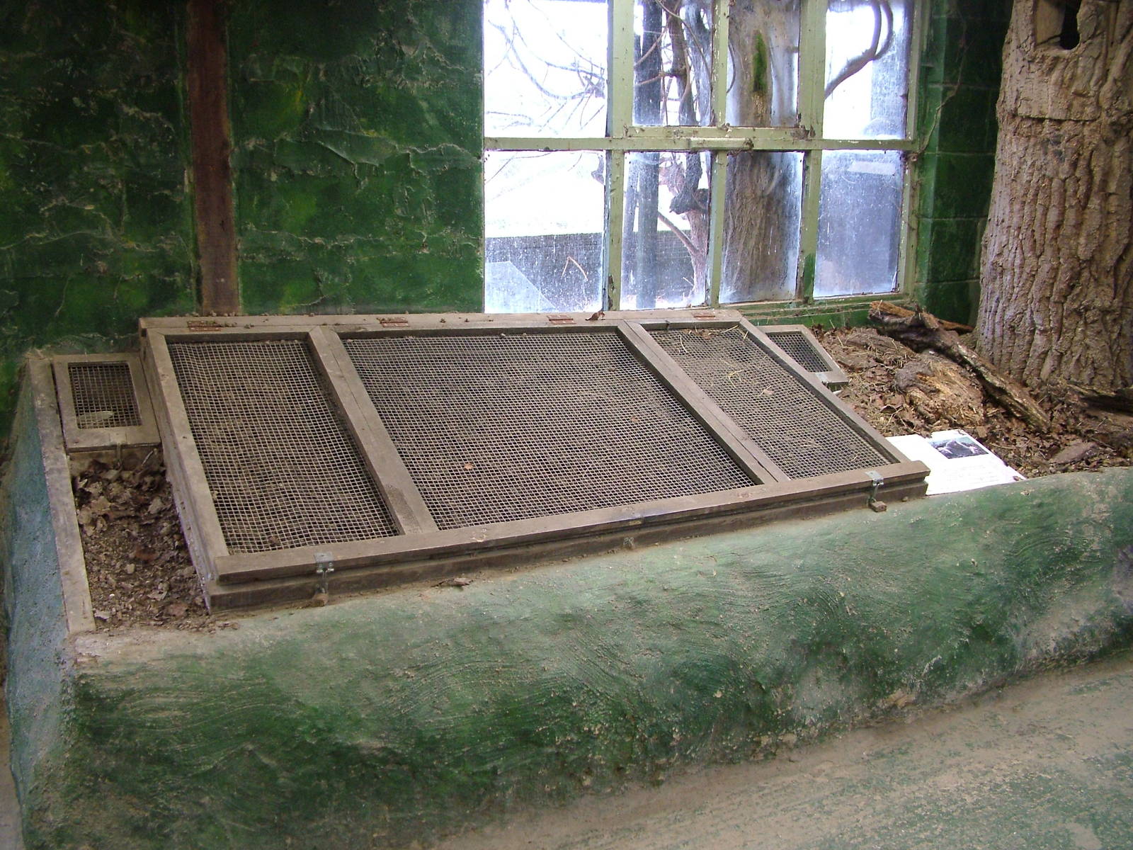 European Mole exhibit at the British Wildlife Centre 14/03/10