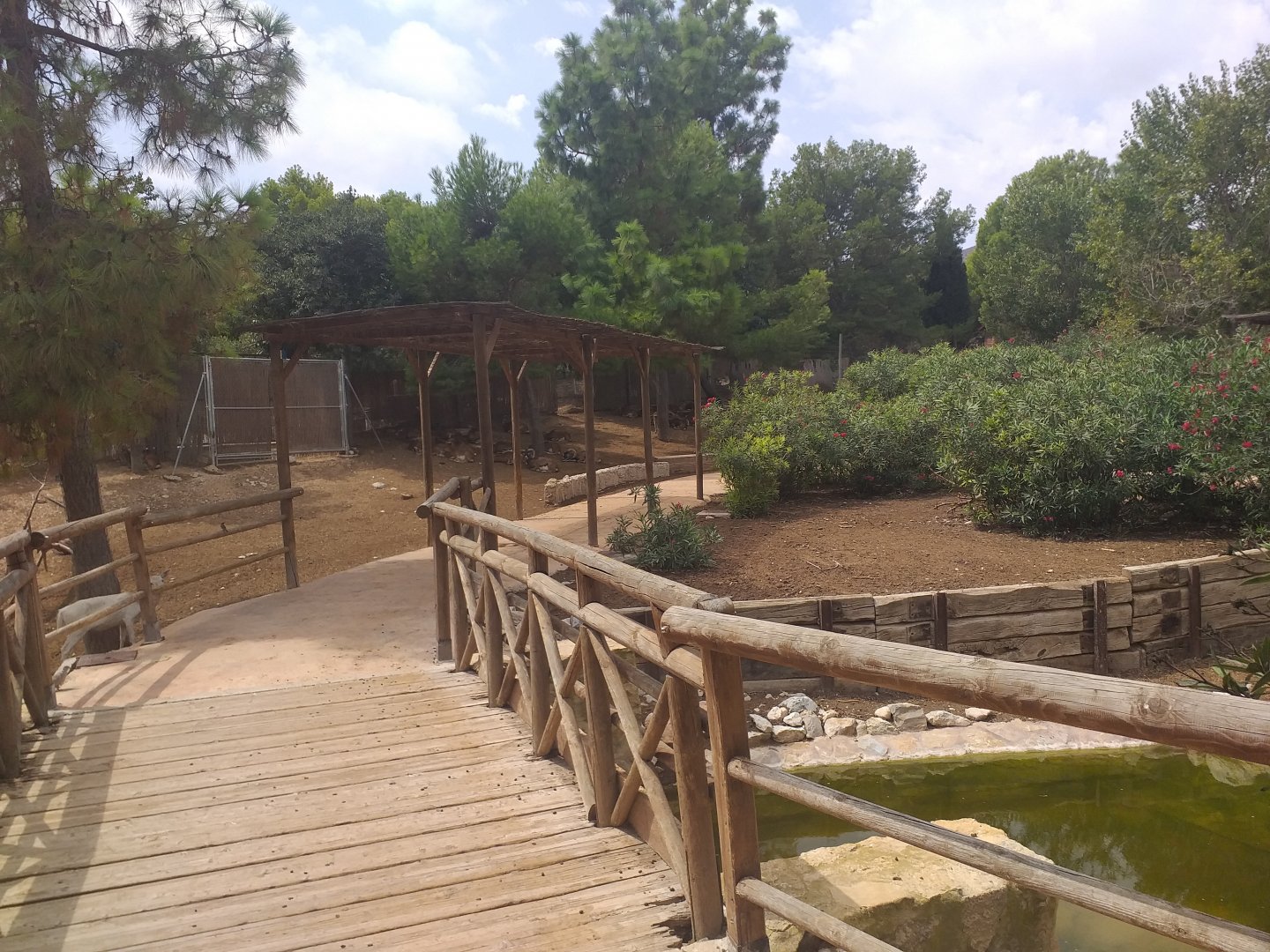 European mouflon, Common fallow deer and Spanish red deer exhibit -TerraNatura Benidorm (2021)