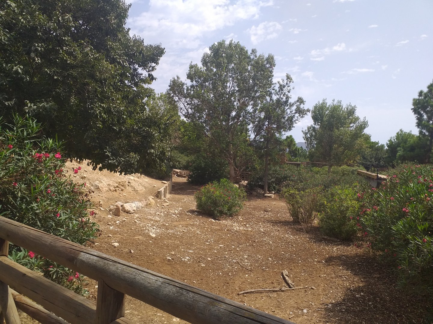 European mouflon, Common fallow deer and Spanish red deer exhibit -TerraNatura Benidorm (2021)