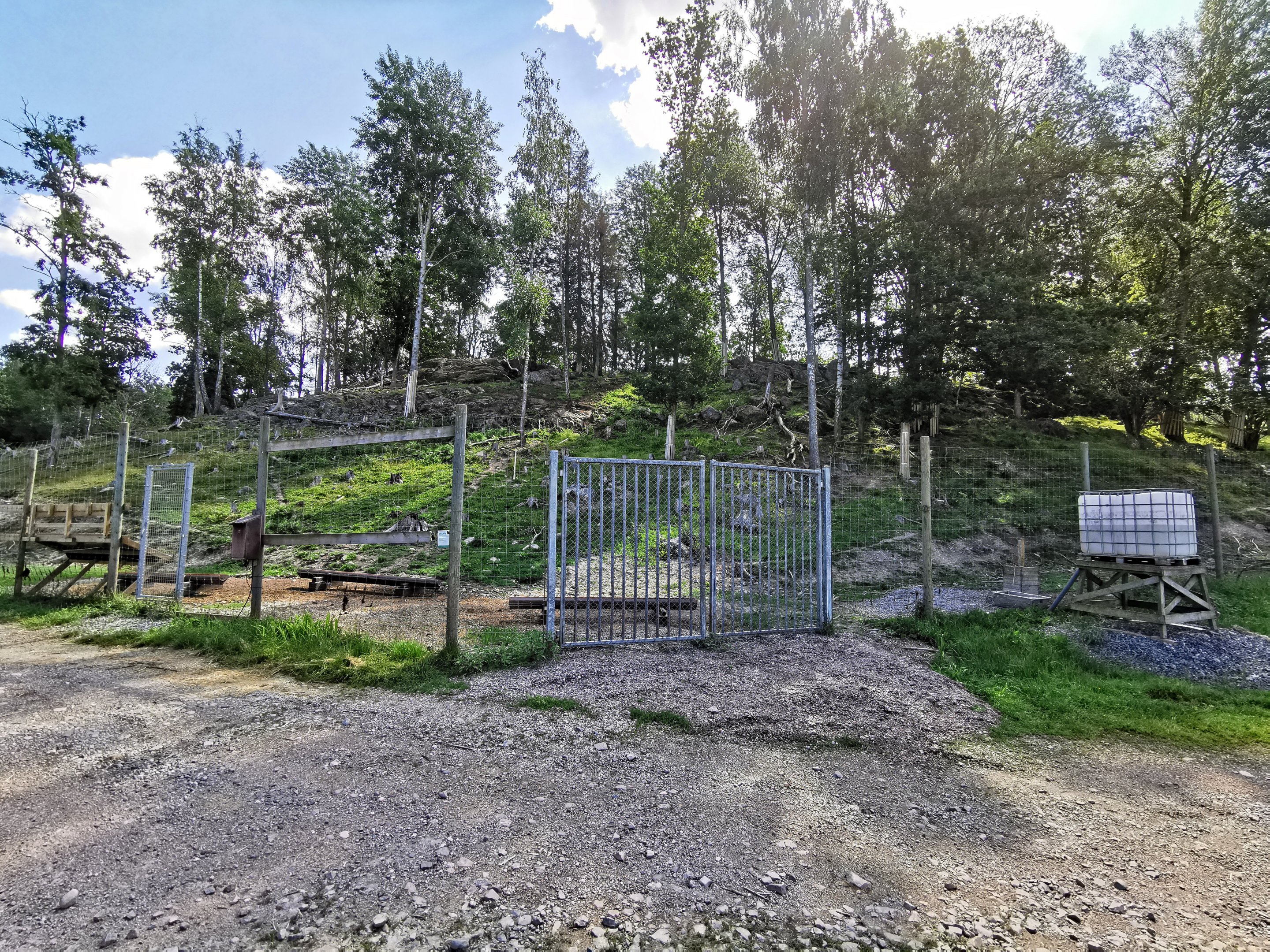 European mouflon enclosure