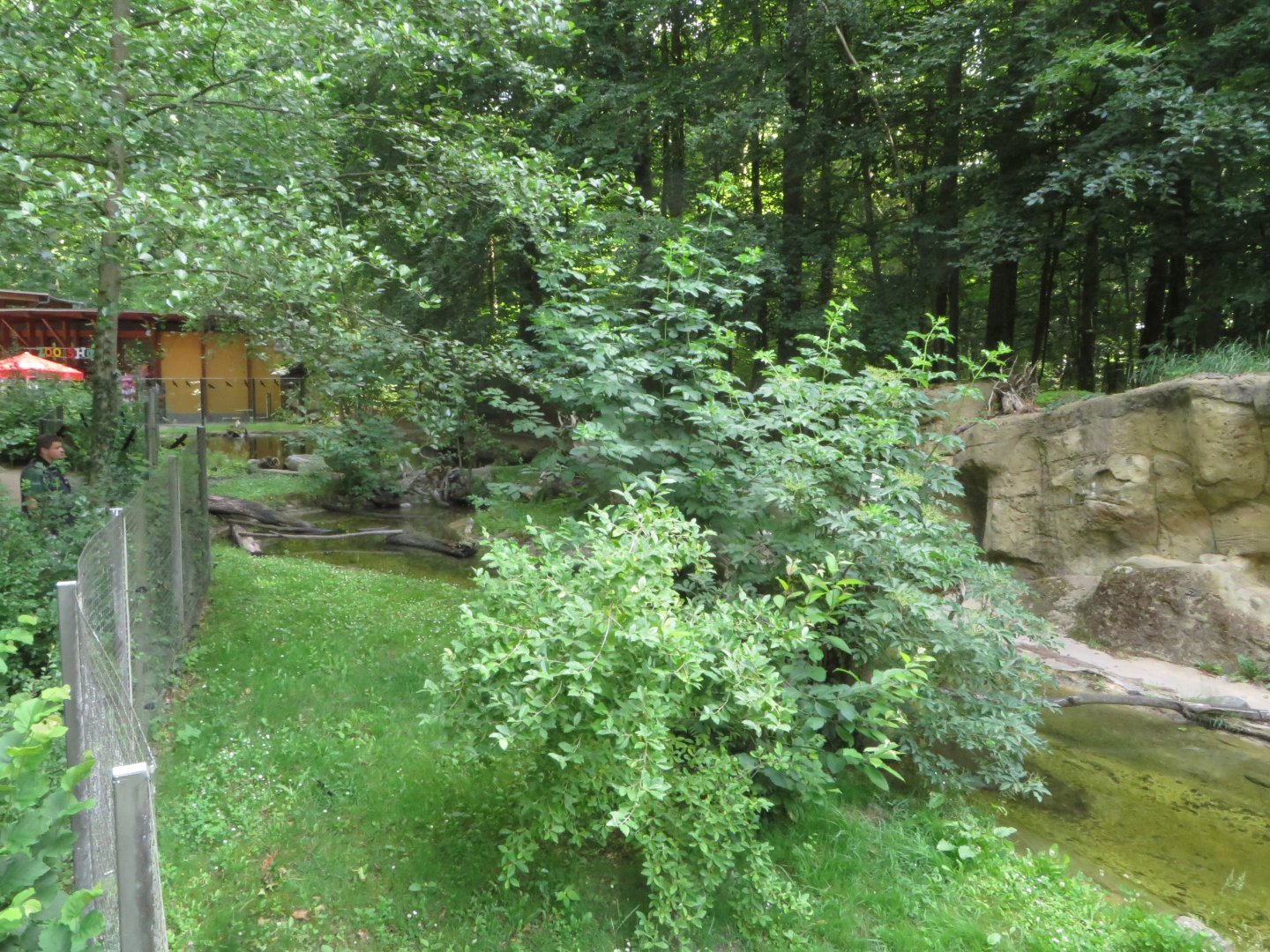 European otter and raccoon enclosure