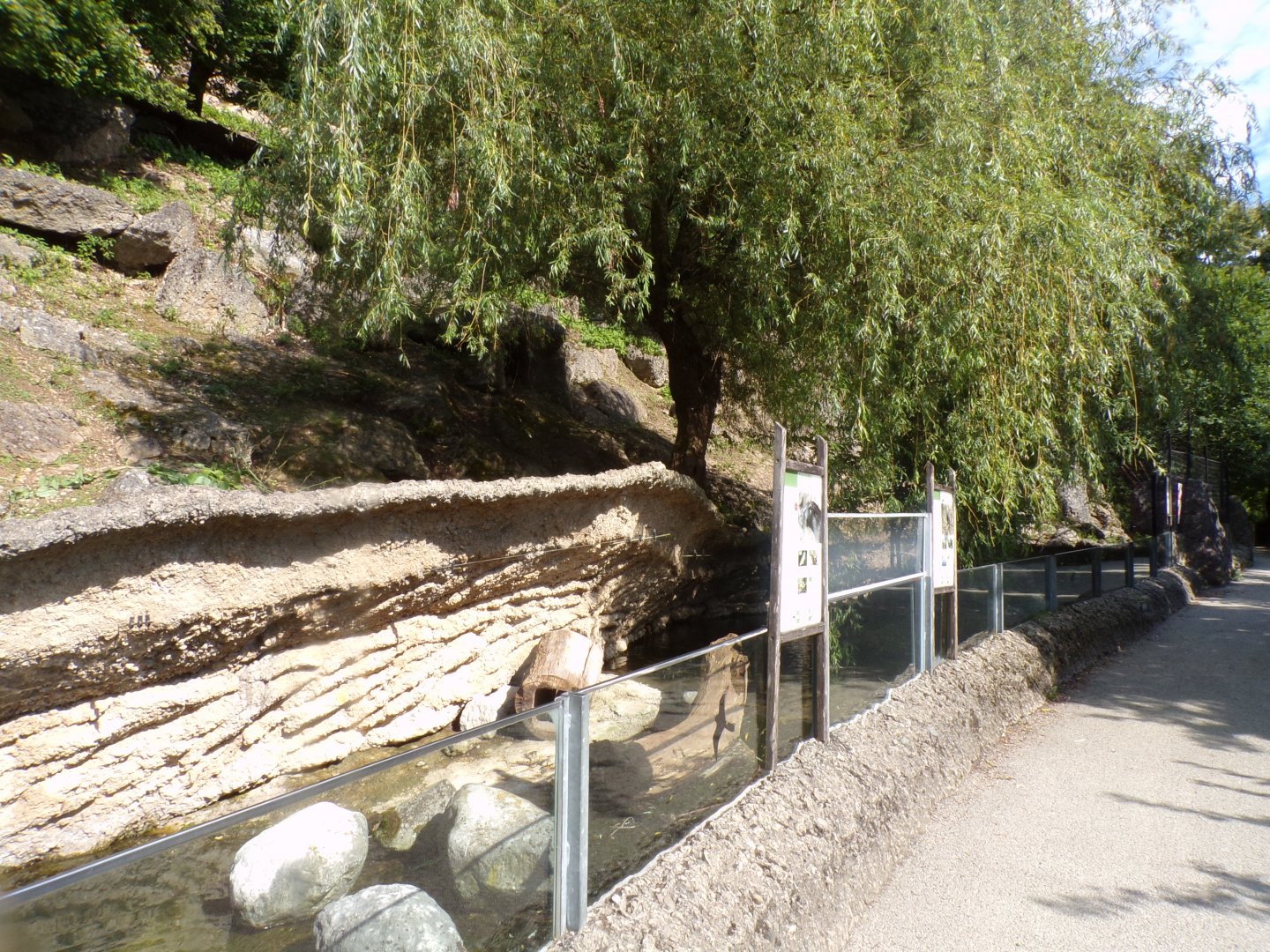 European otter enclosure 13.7.25