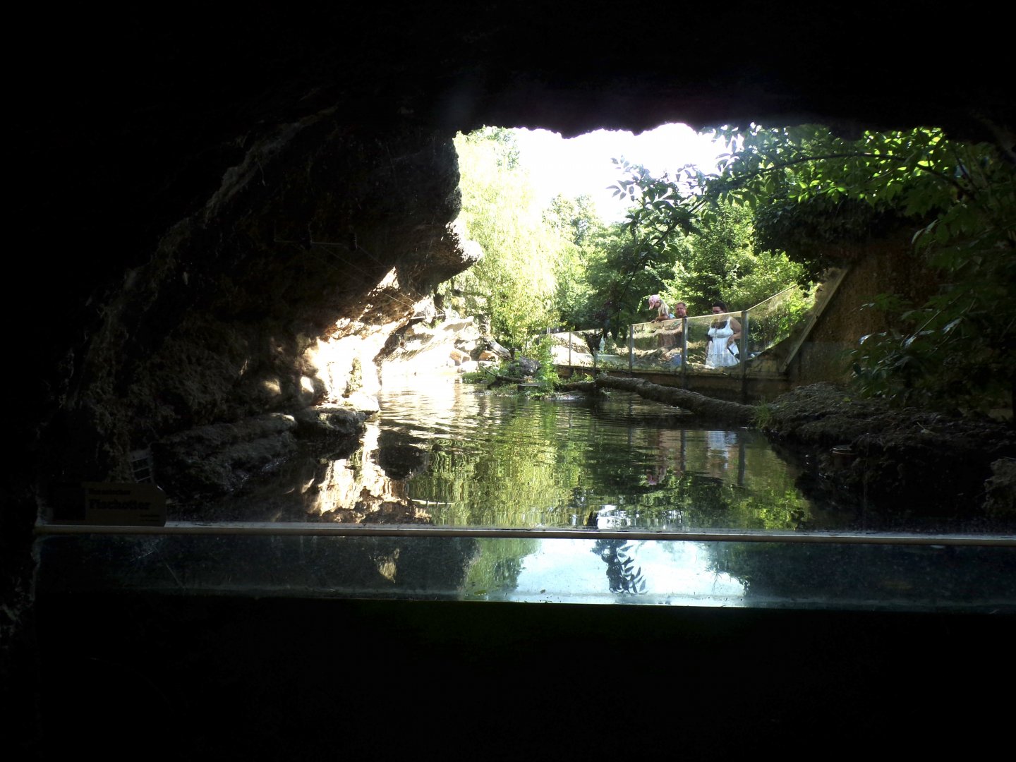 European otter enclosure 13.7.25