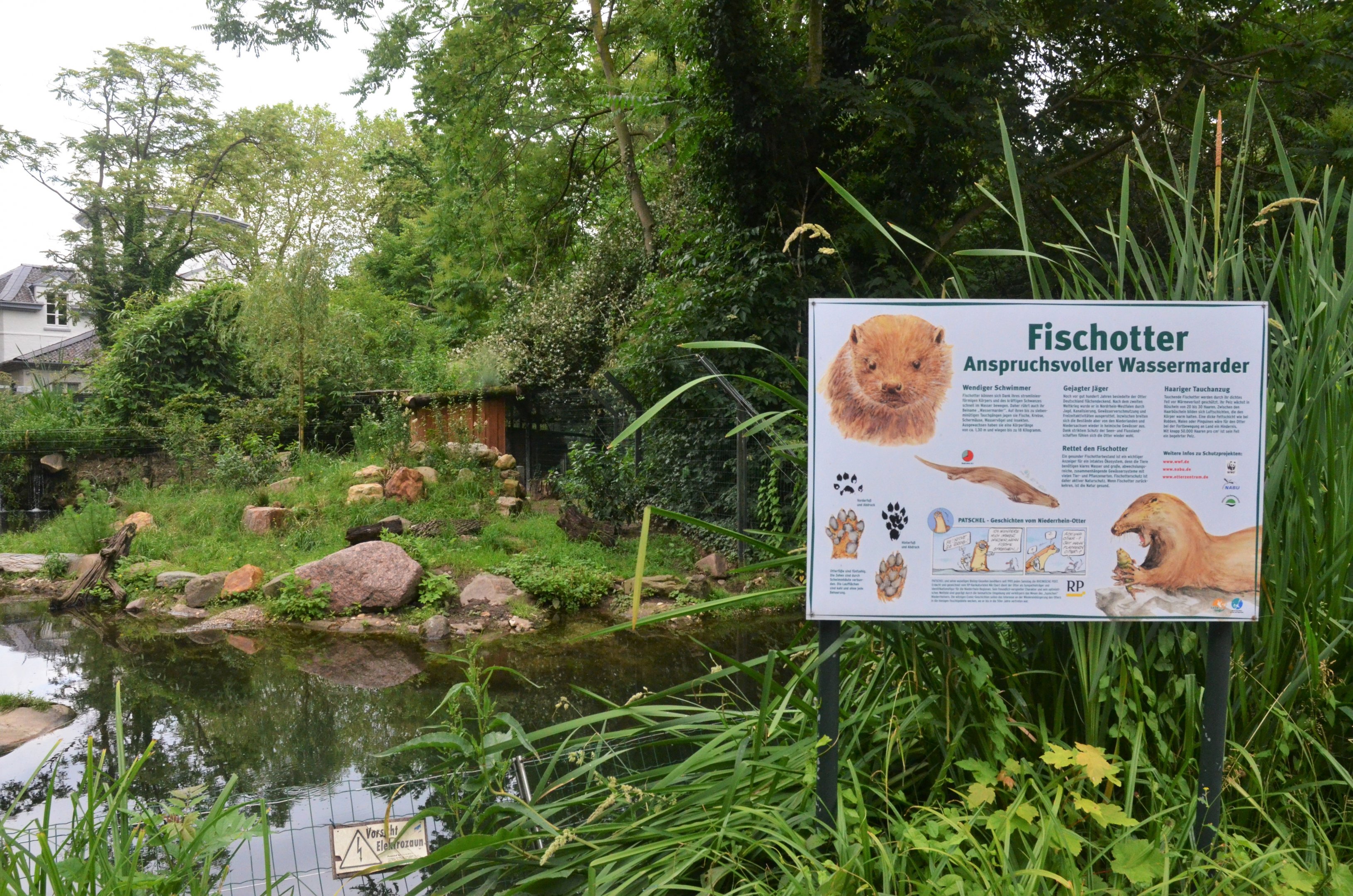 European Otter Enclosure at Krefeld, 15/06/19