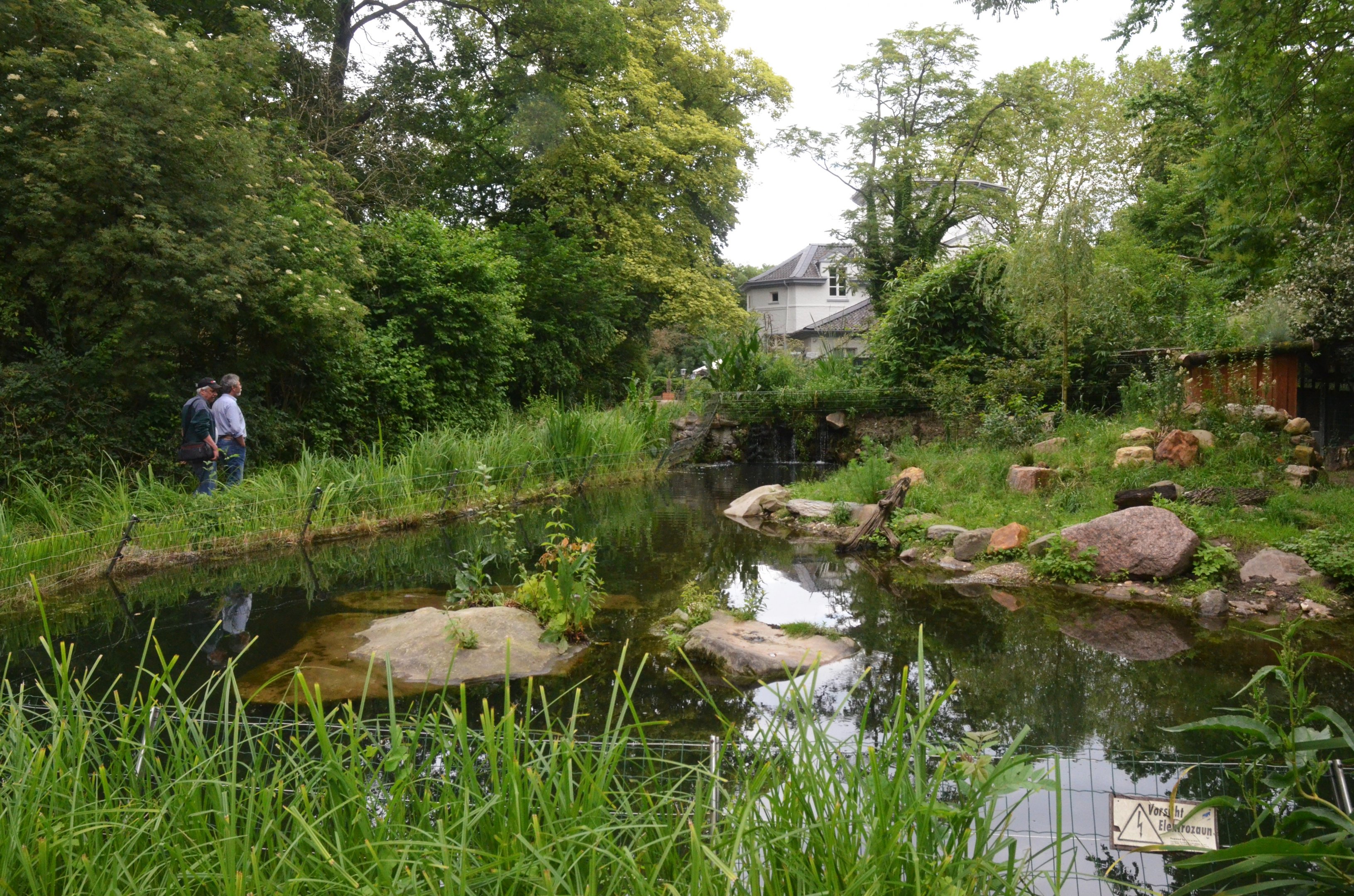 European Otter Enclosure at Krefeld, 15/06/19