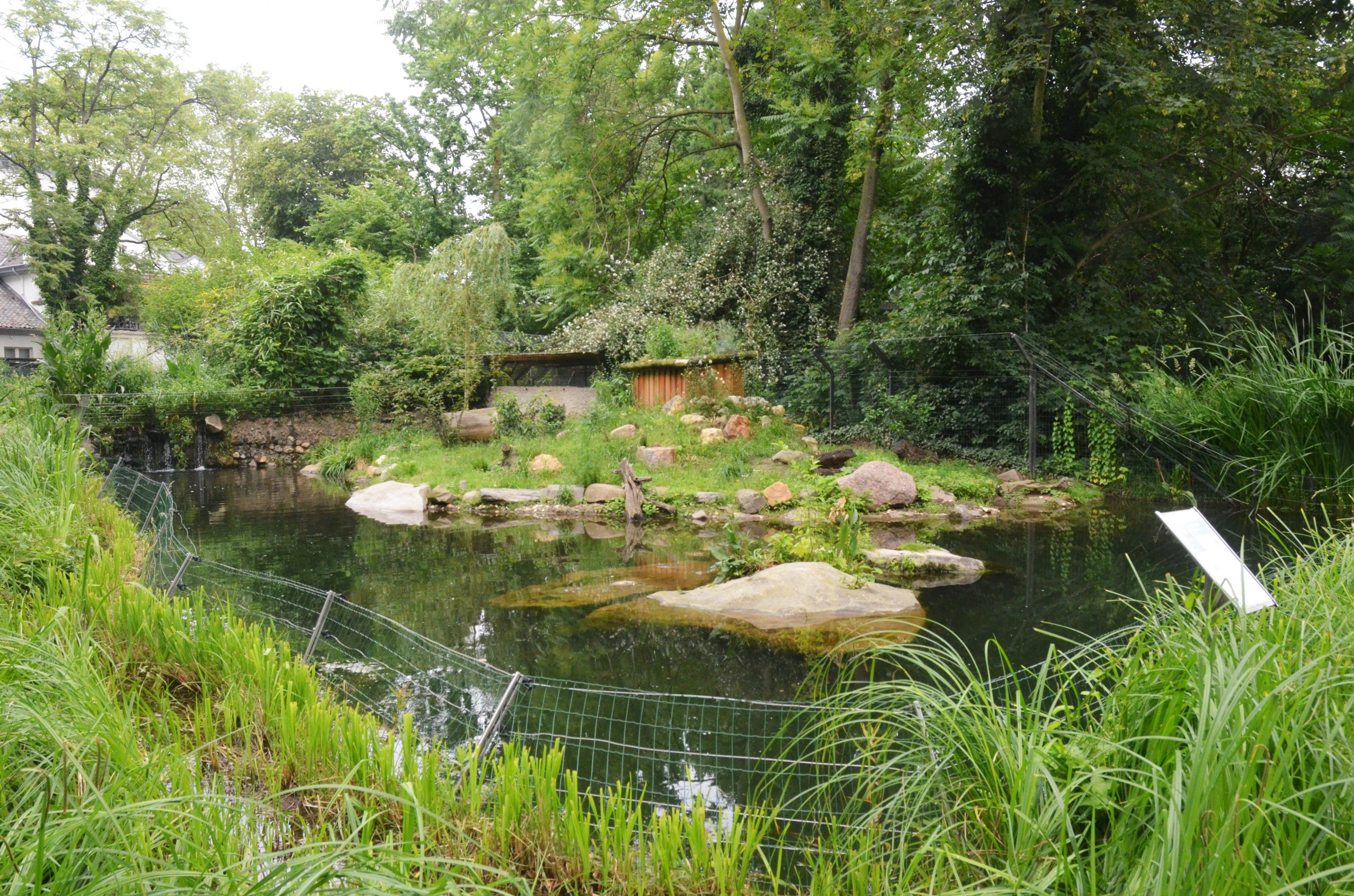 European Otter Enclosure at Krefeld, 15/06/19