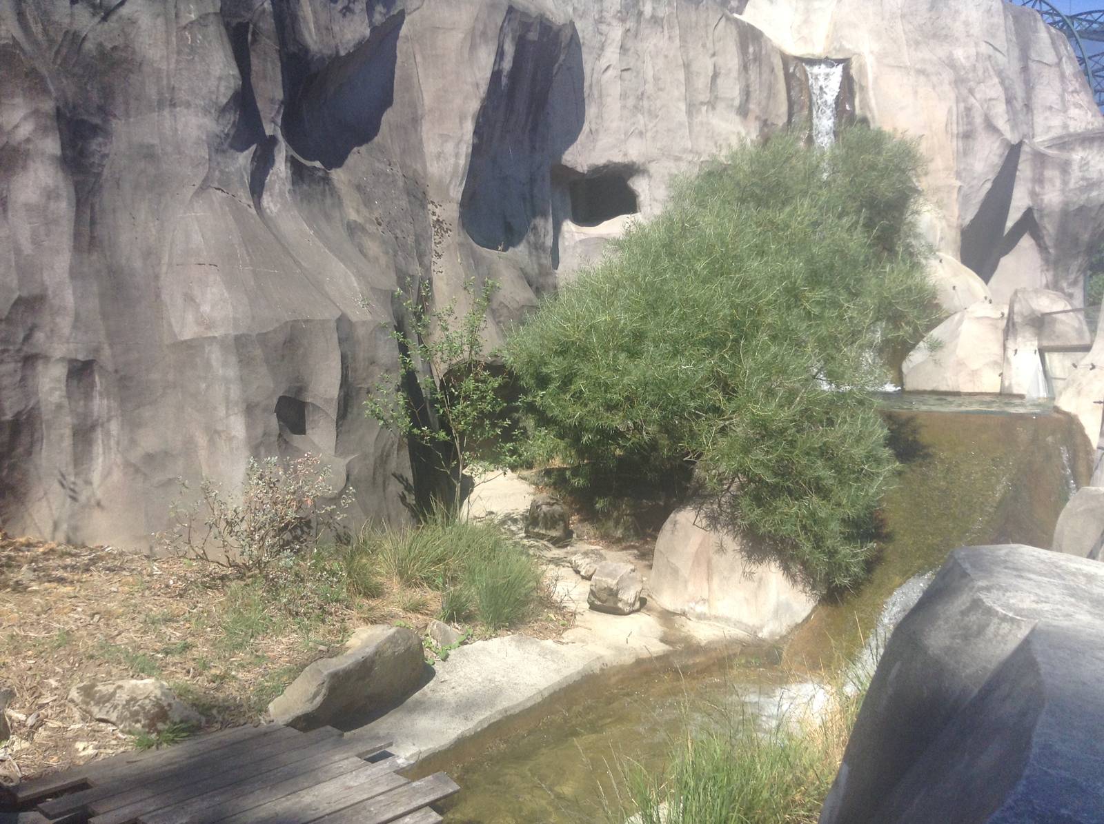 European Otter Enclosure - Paris Zoo