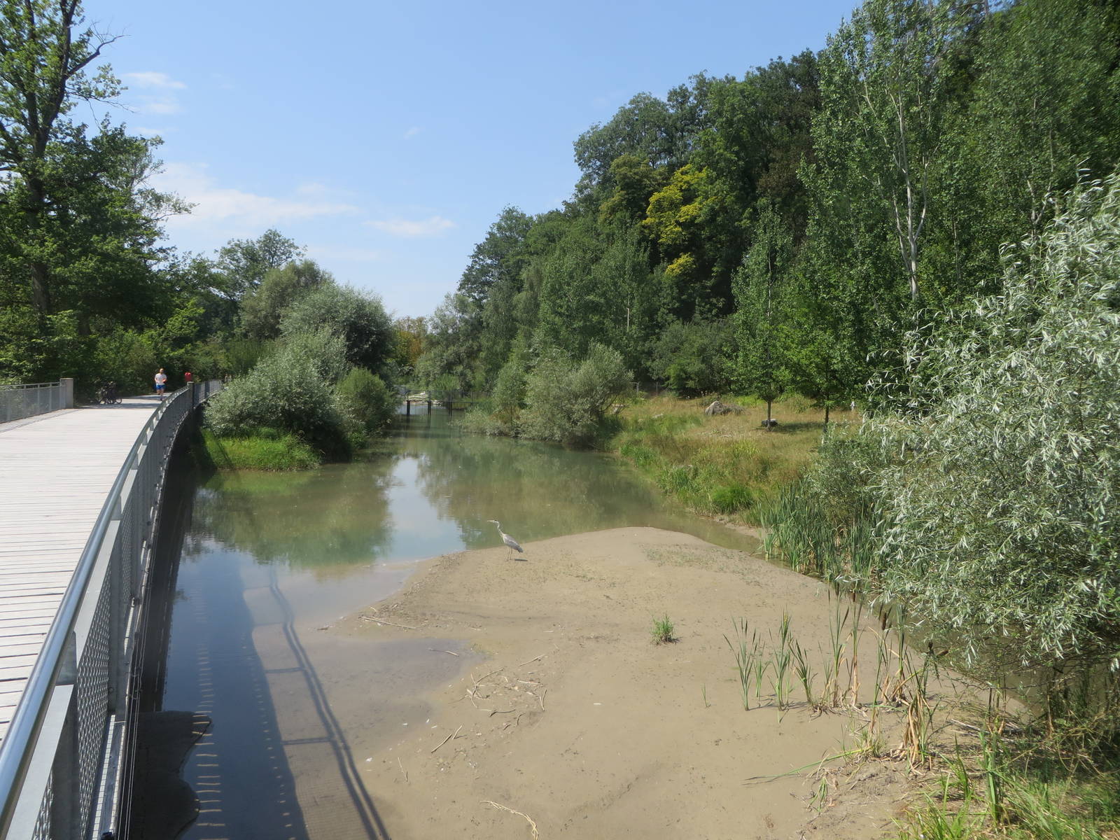 European otter enclosure with low water level