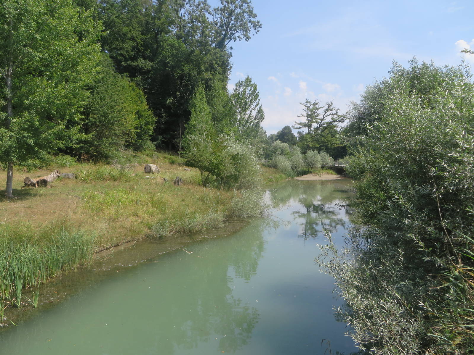 European otter enclosure with low water level