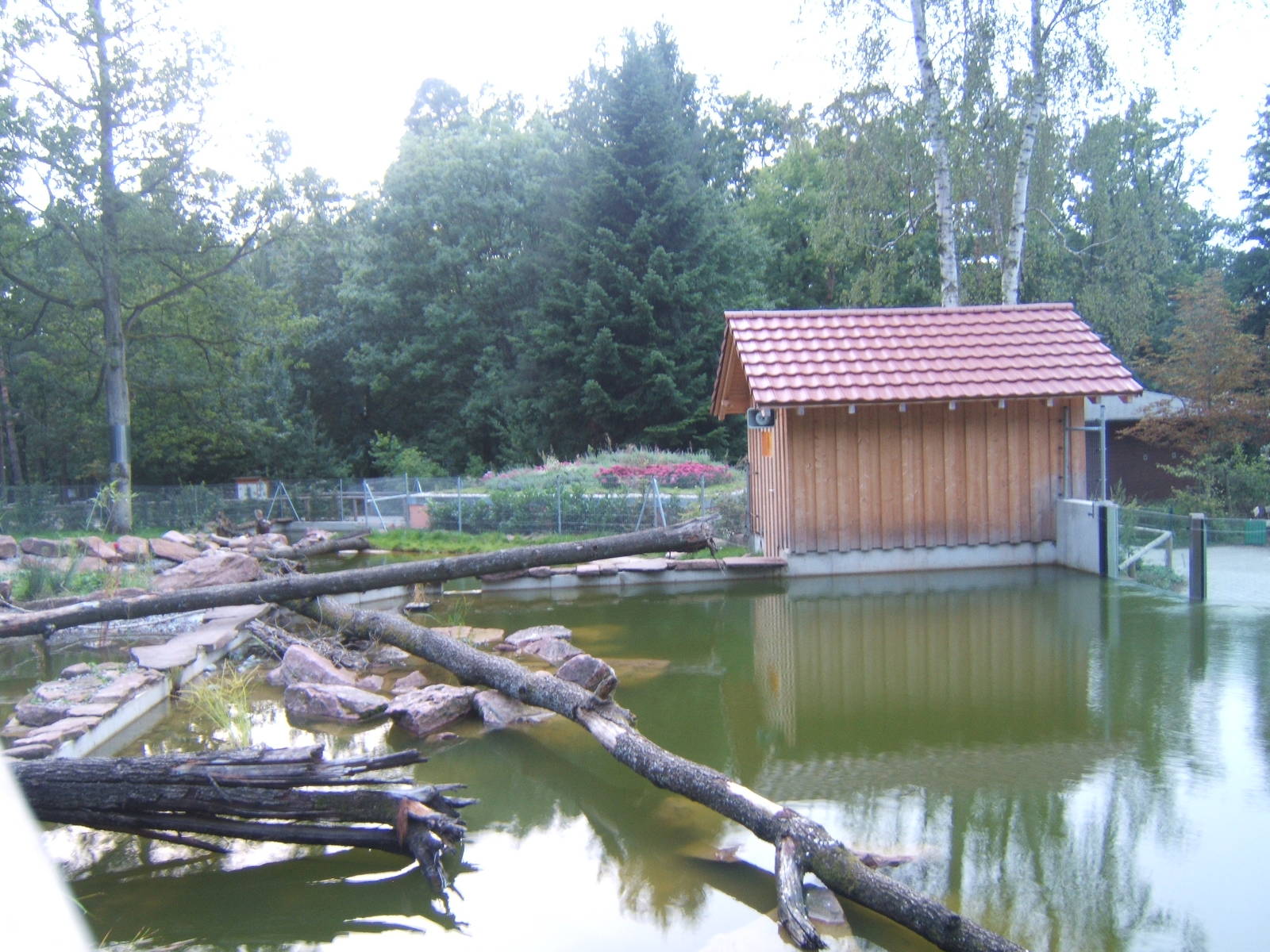 European Otter enclosure
