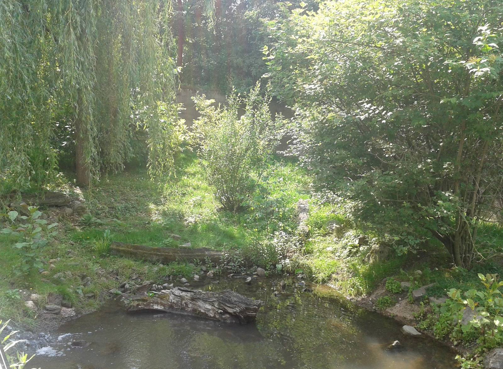 European otter enclosure