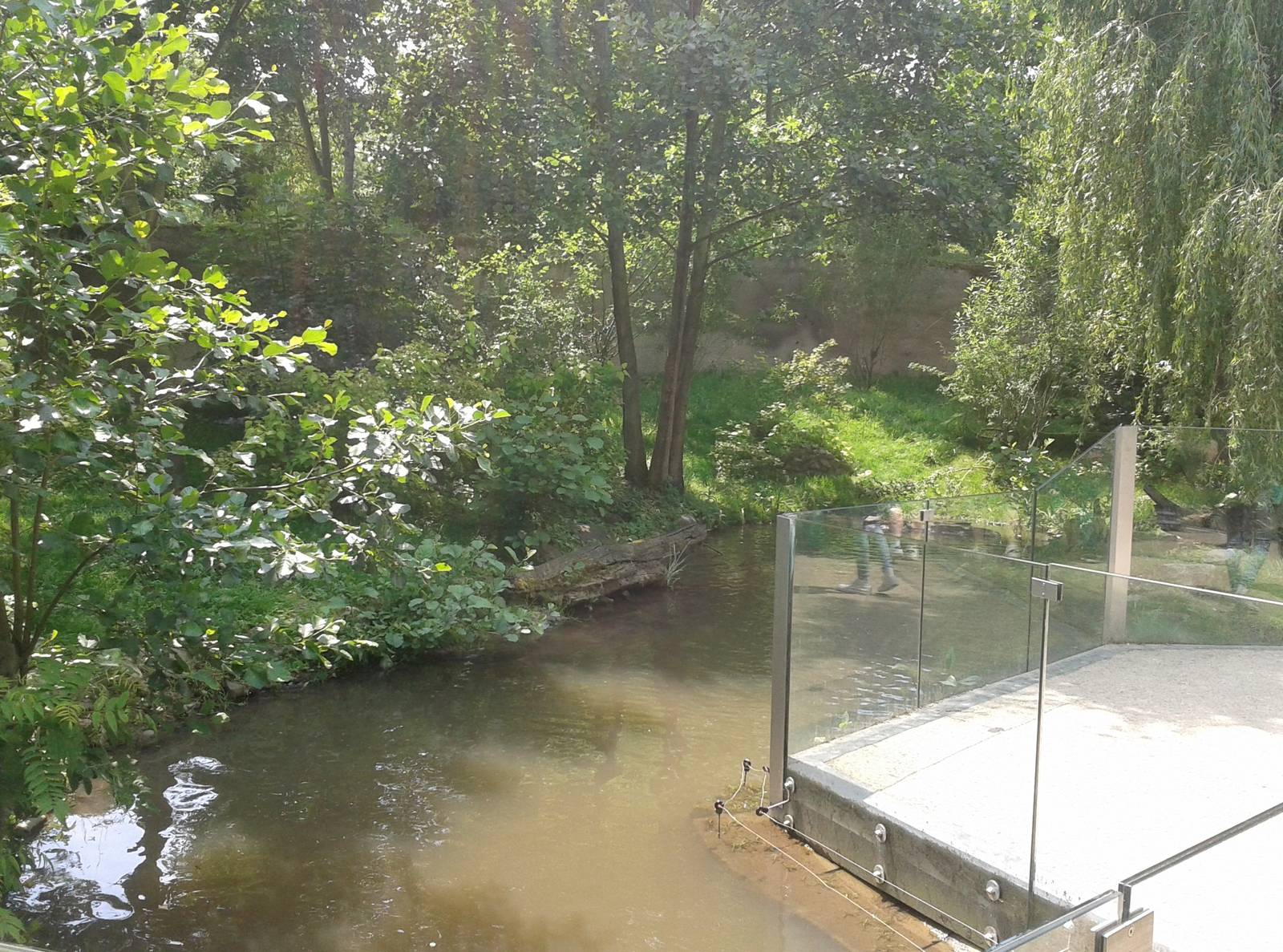 European otter enclosure