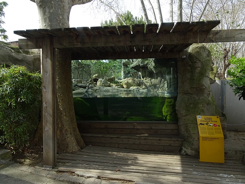 European otter enclosure