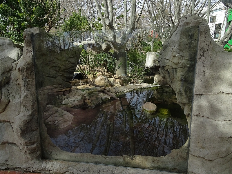 European otter enclosure