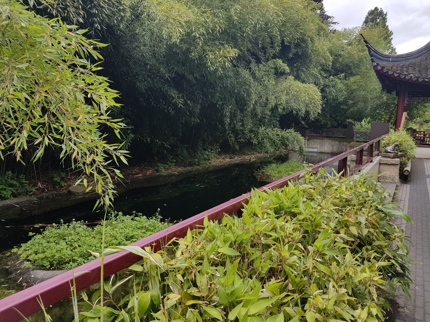 European otter enclosure