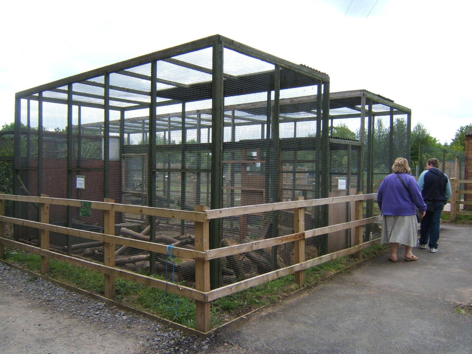 European Otter Enclosure