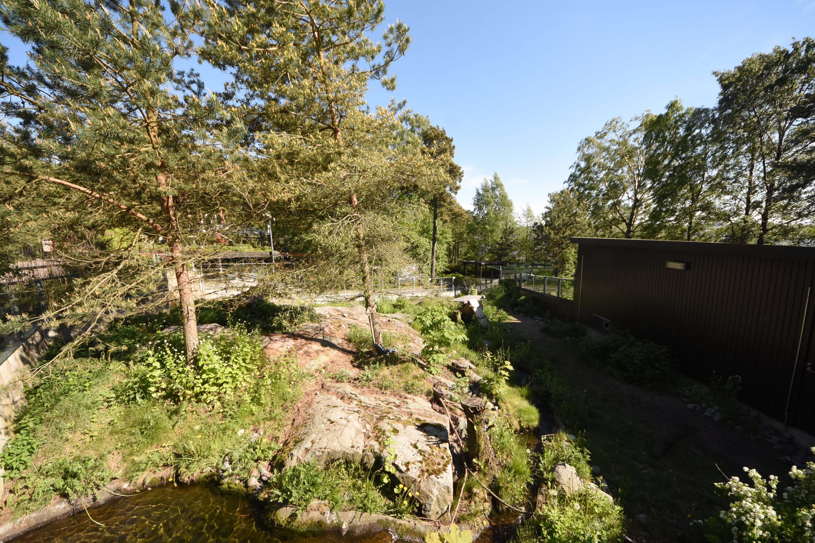 European otter enclosure
