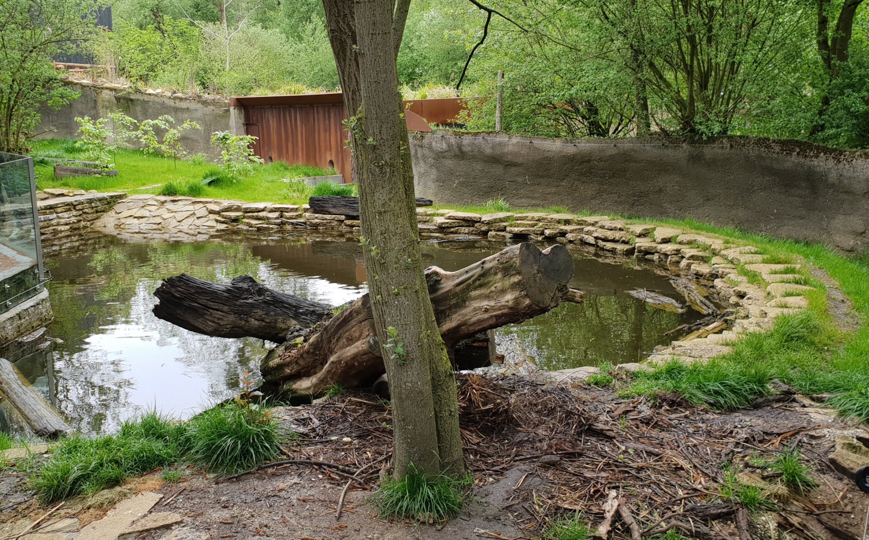 European otter enclosure