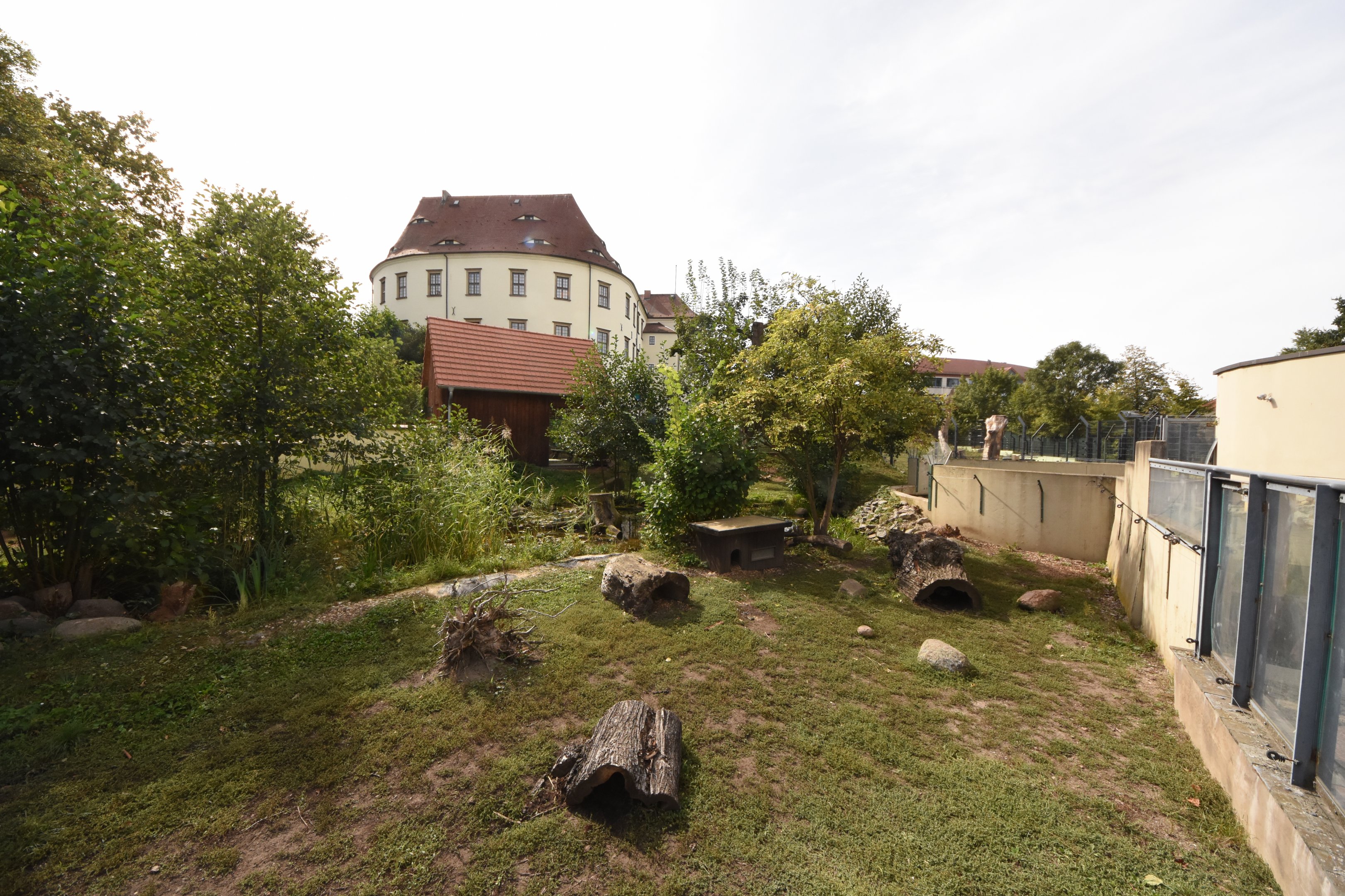 European otter enclosure