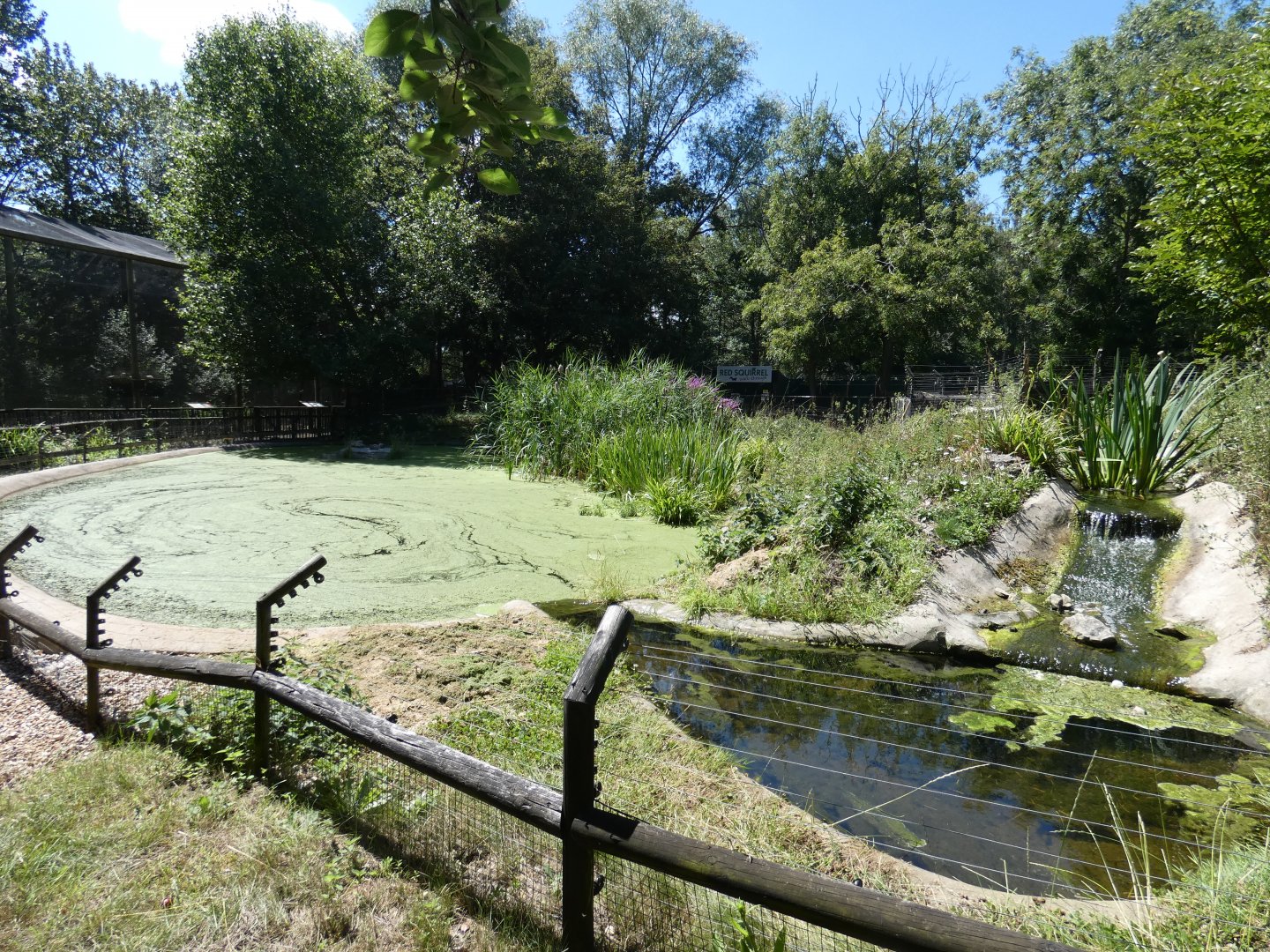 European Otter enclosure
