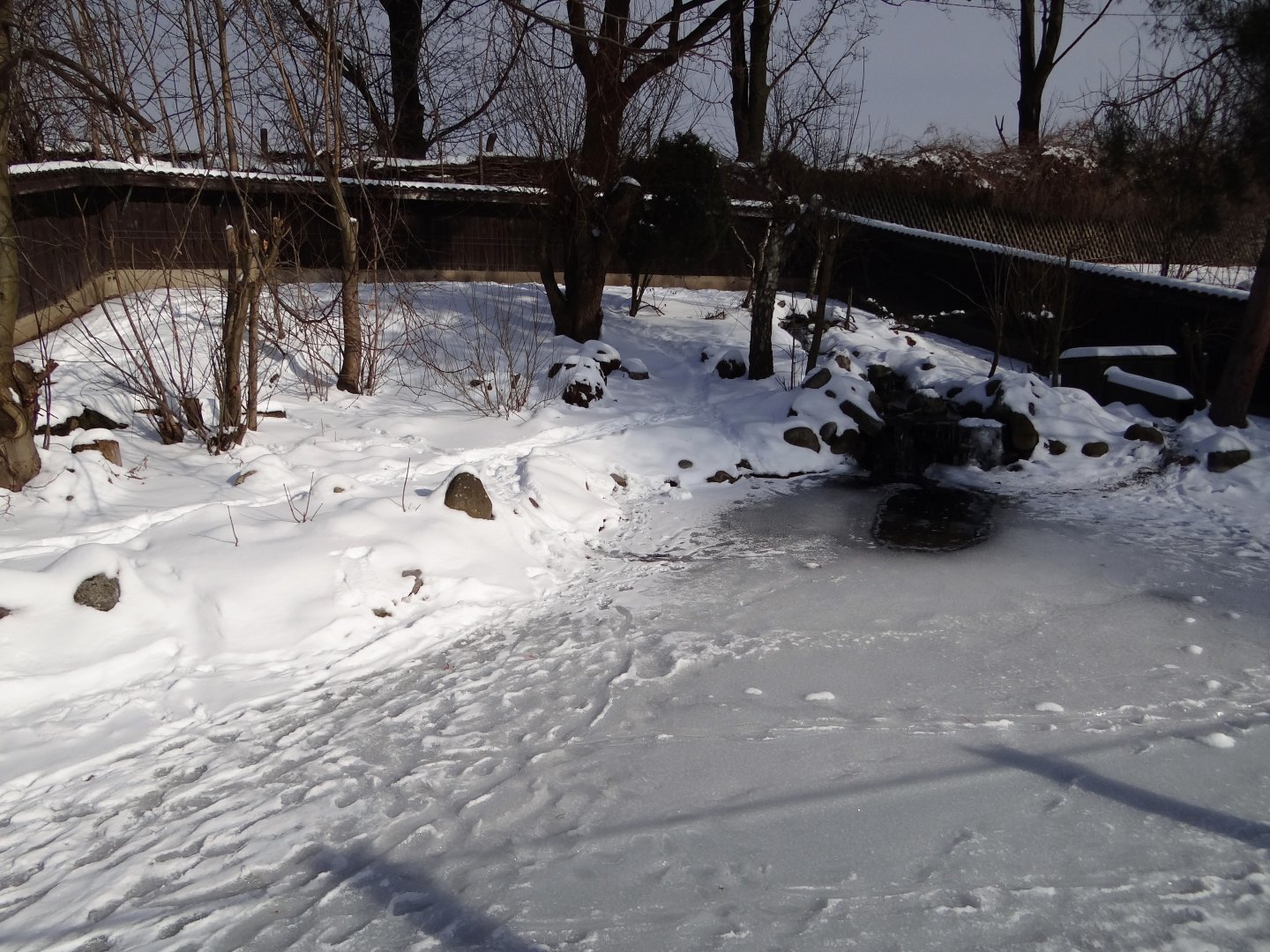 European otter enclosure