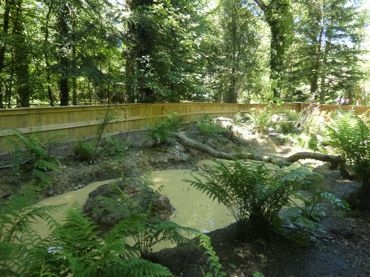 European otter enclosure