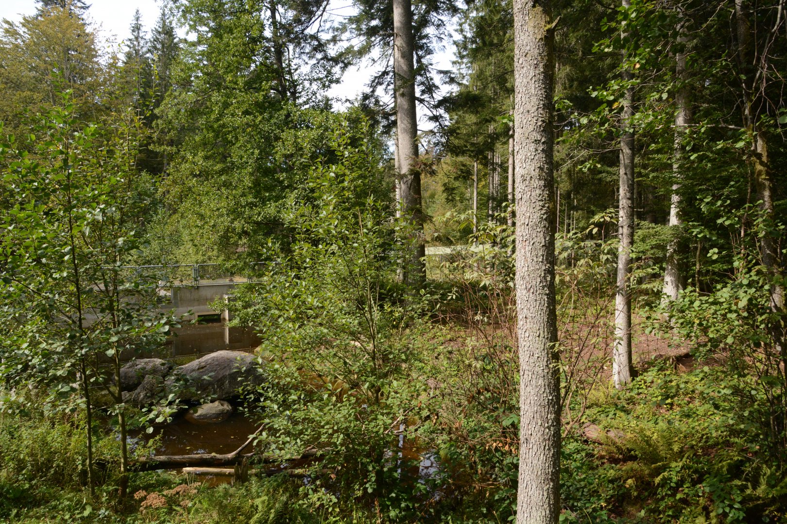 European otter enclosure