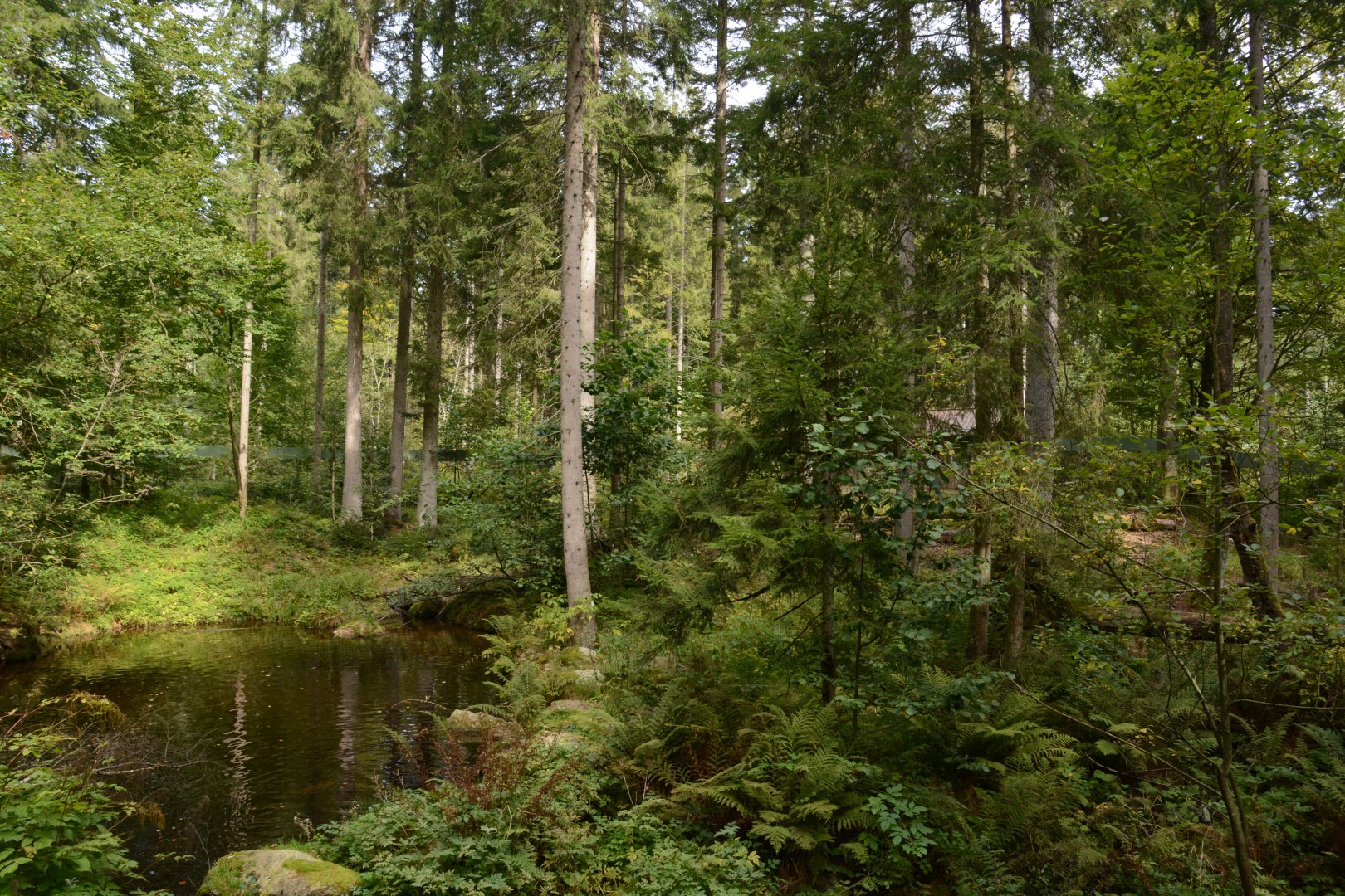 European otter enclosure