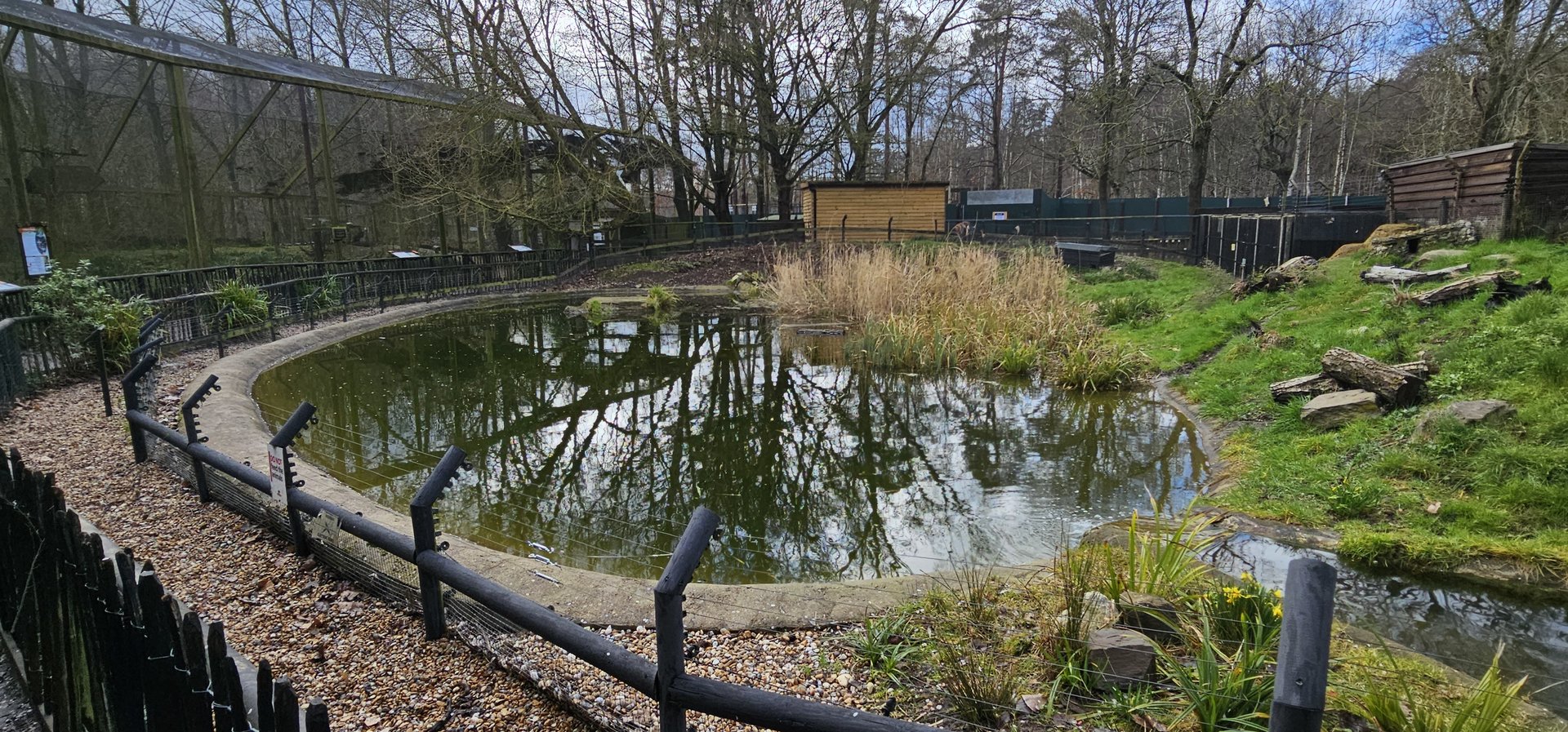 European otter enclosure