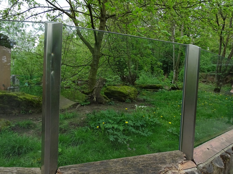 European otter enclosure