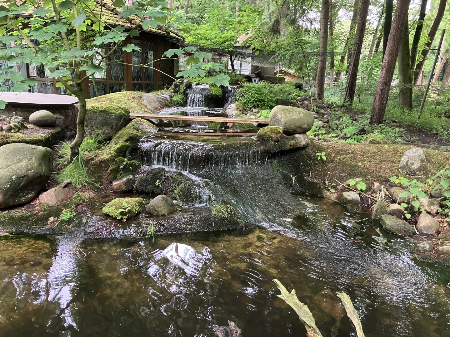 European otter enclosure