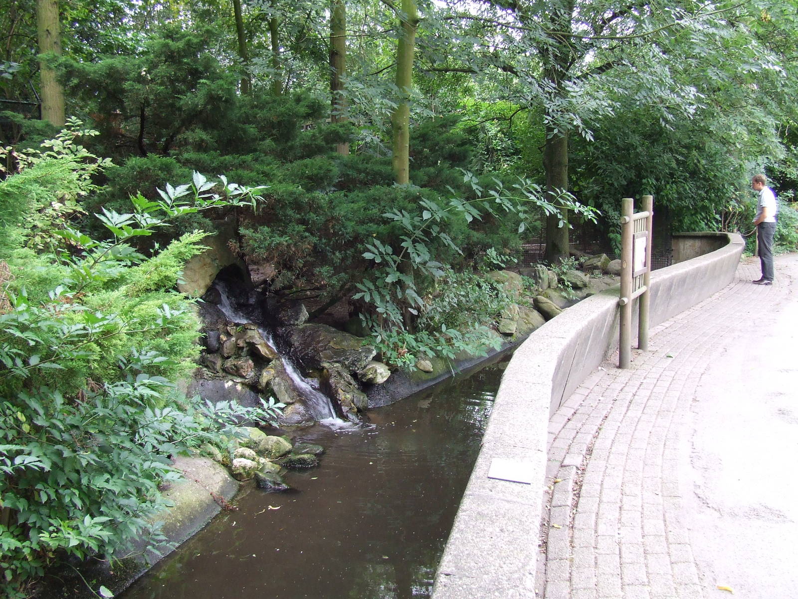 European Otter enclosure