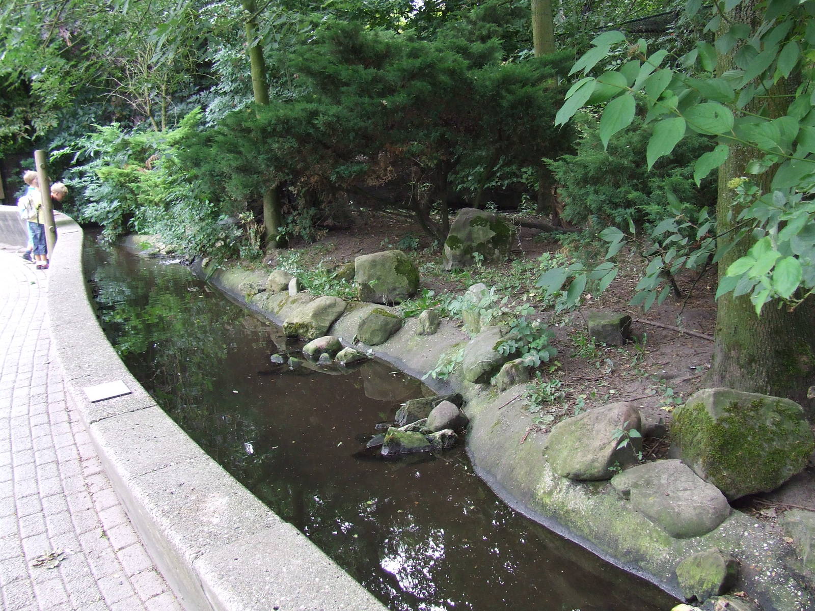 European Otter enclosure
