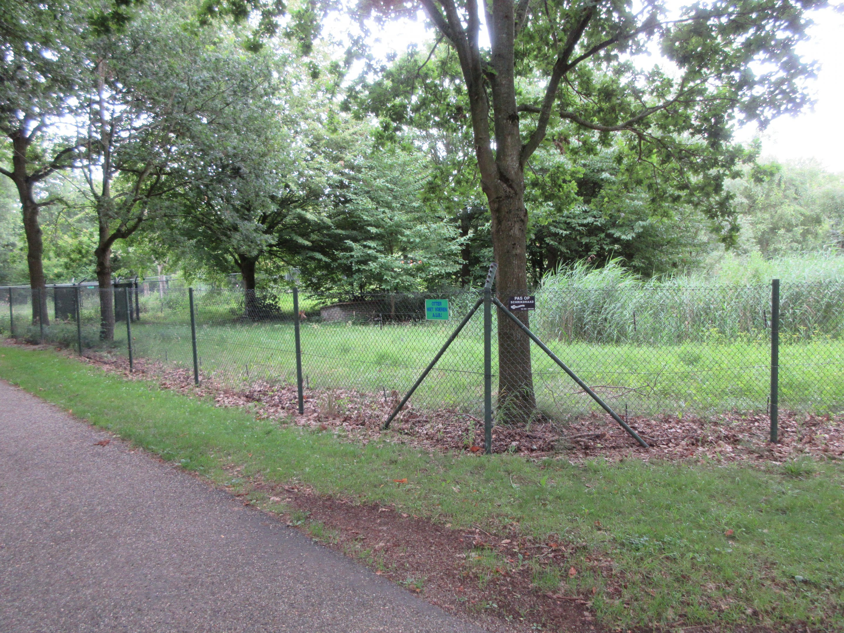 European Otter Exhibit (1 of at least 7)