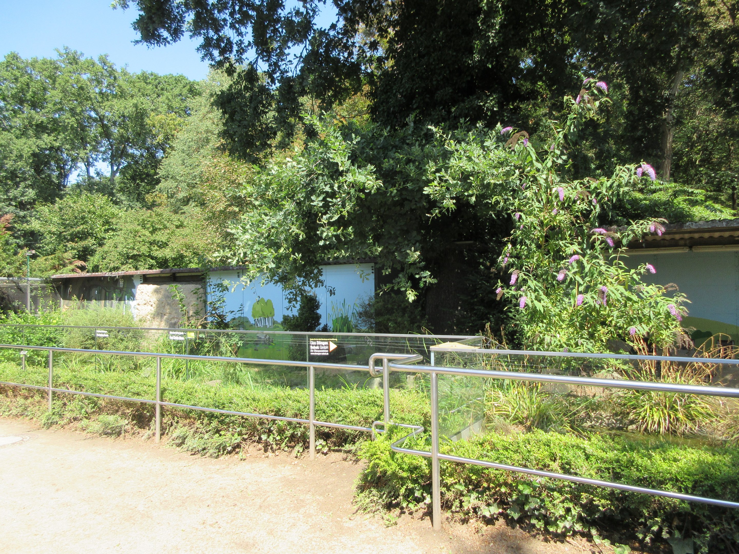 European Otter Exhibit #1