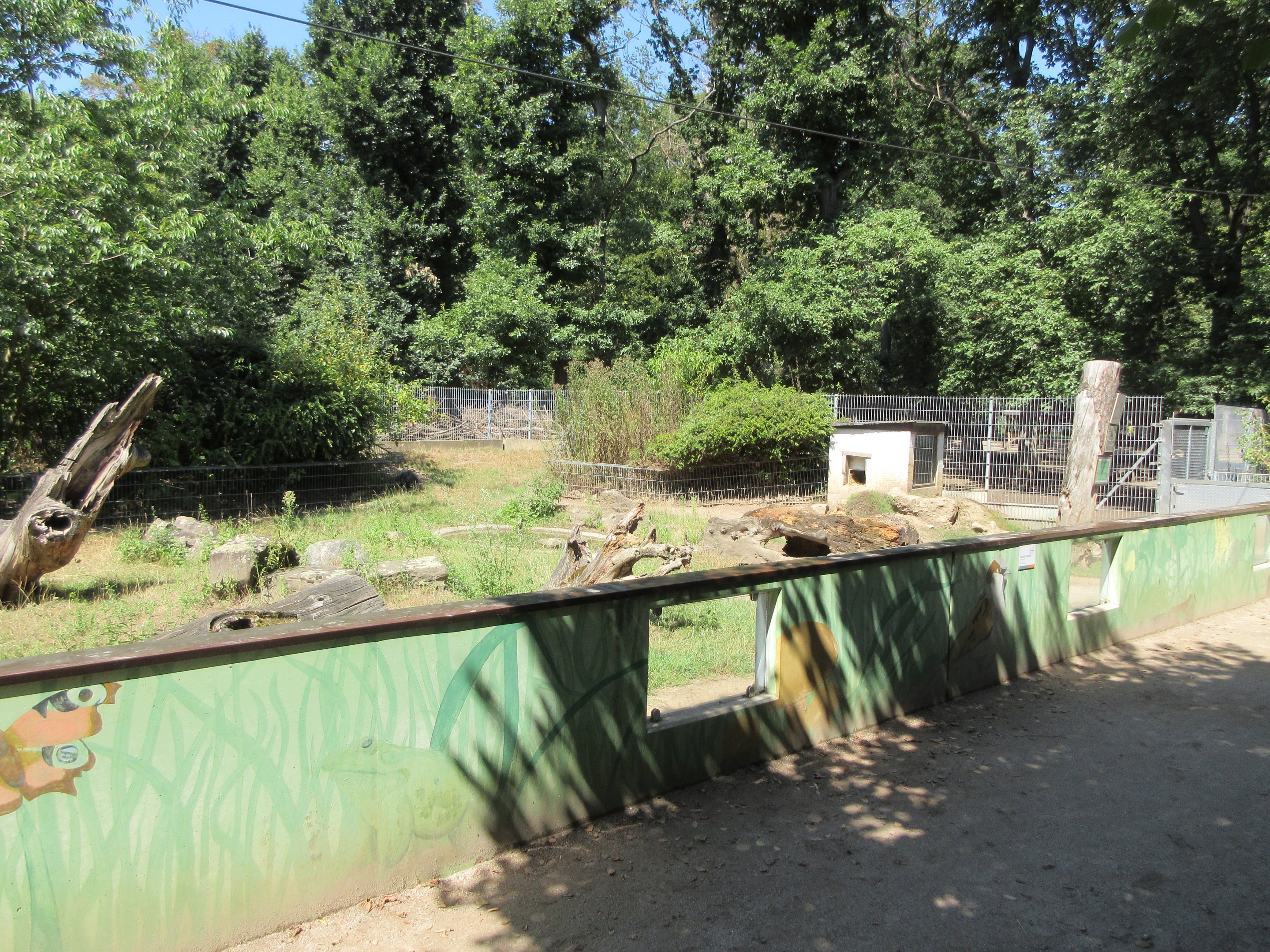 European Otter Exhibit #2