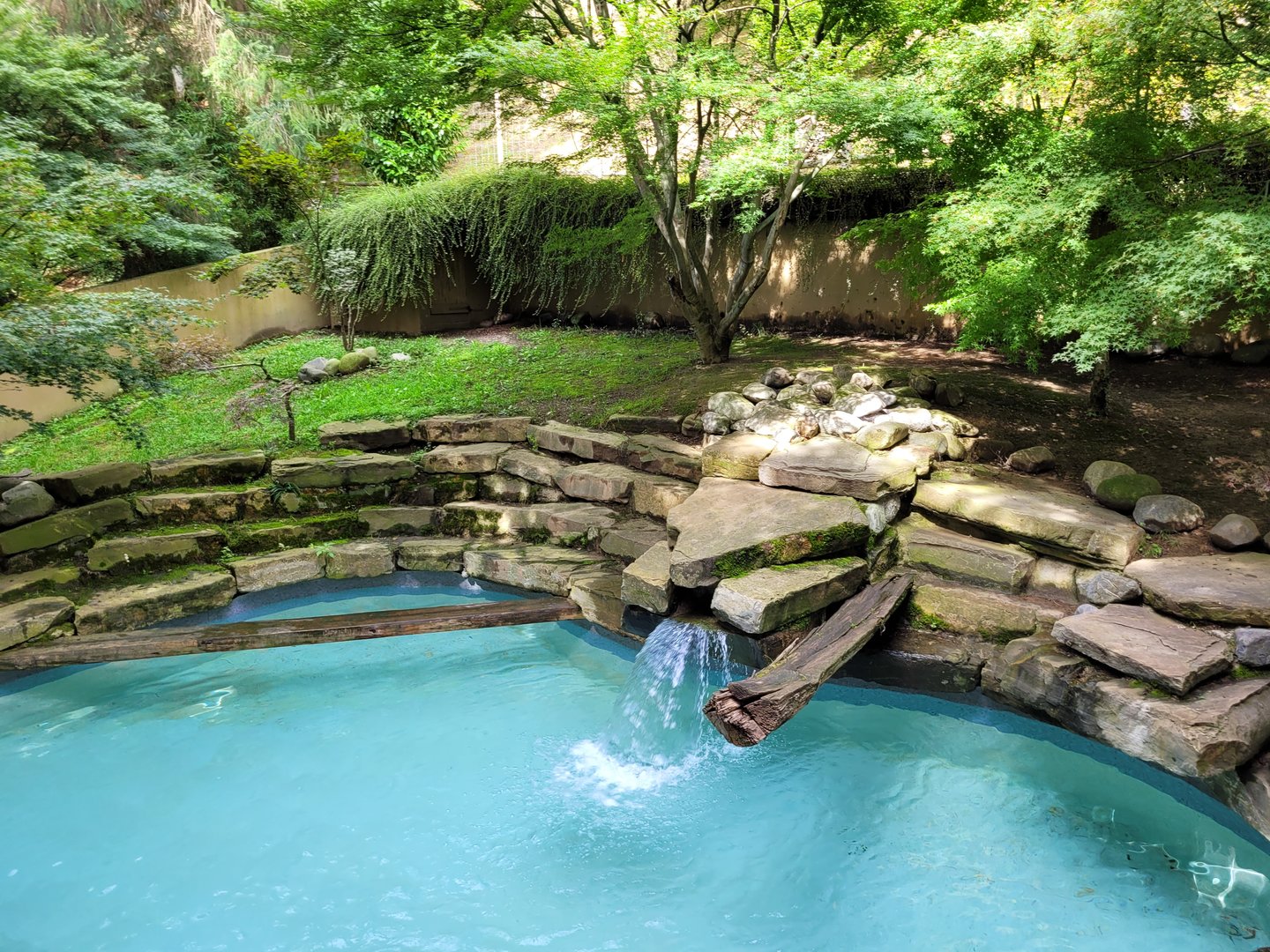 European otter exhibit -Parc Animalier des Pyrénées (2023)