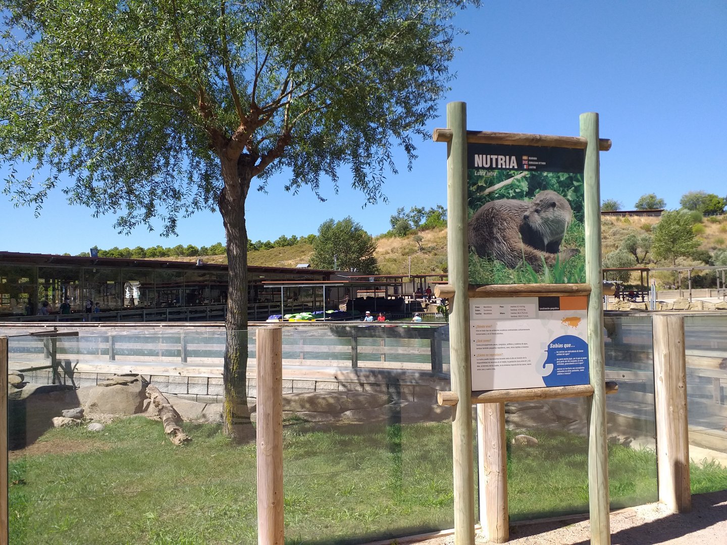 European otter exhibit -Sendaviva (2020)