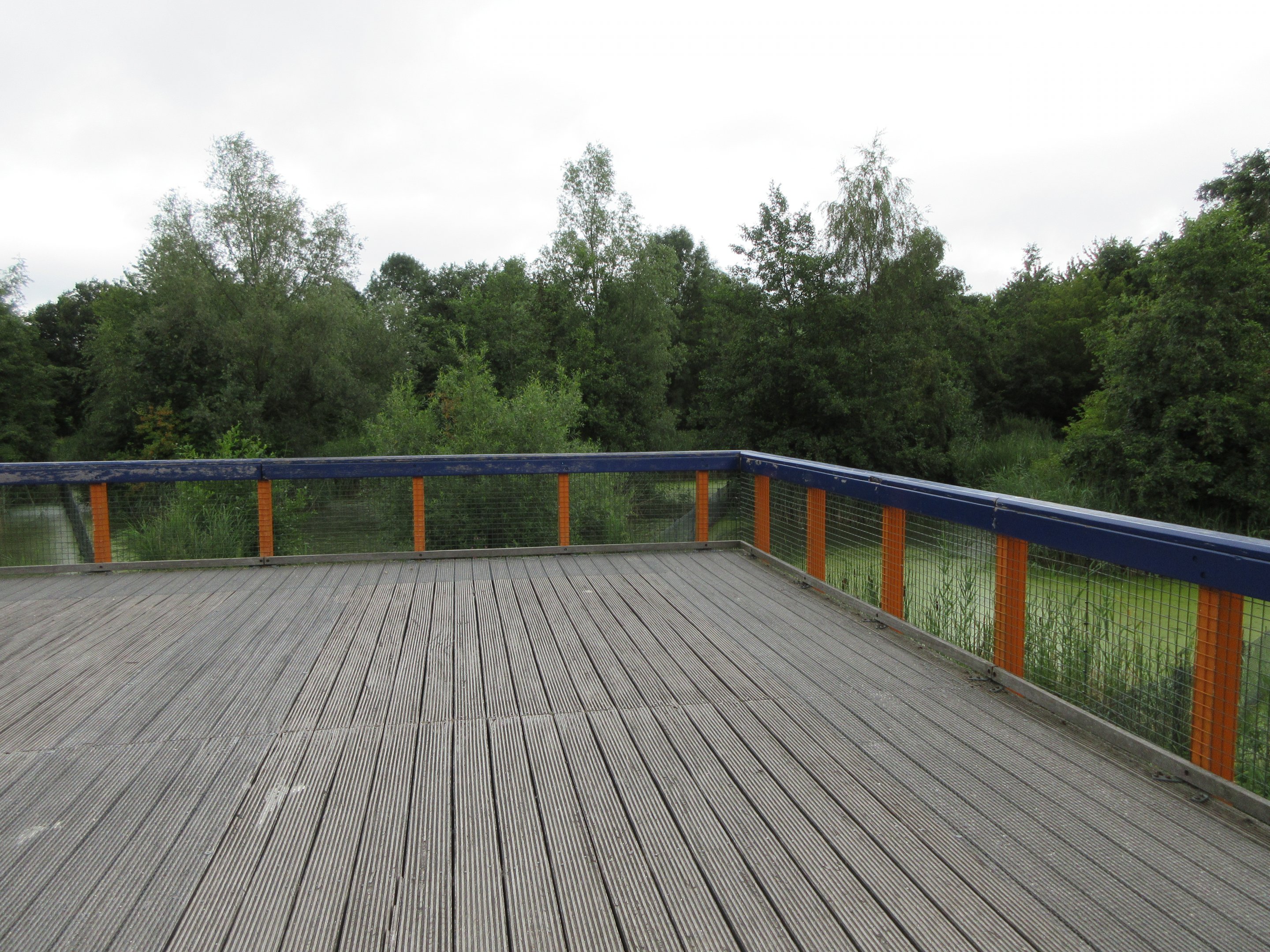 European Otter Exhibit - Viewing Platform