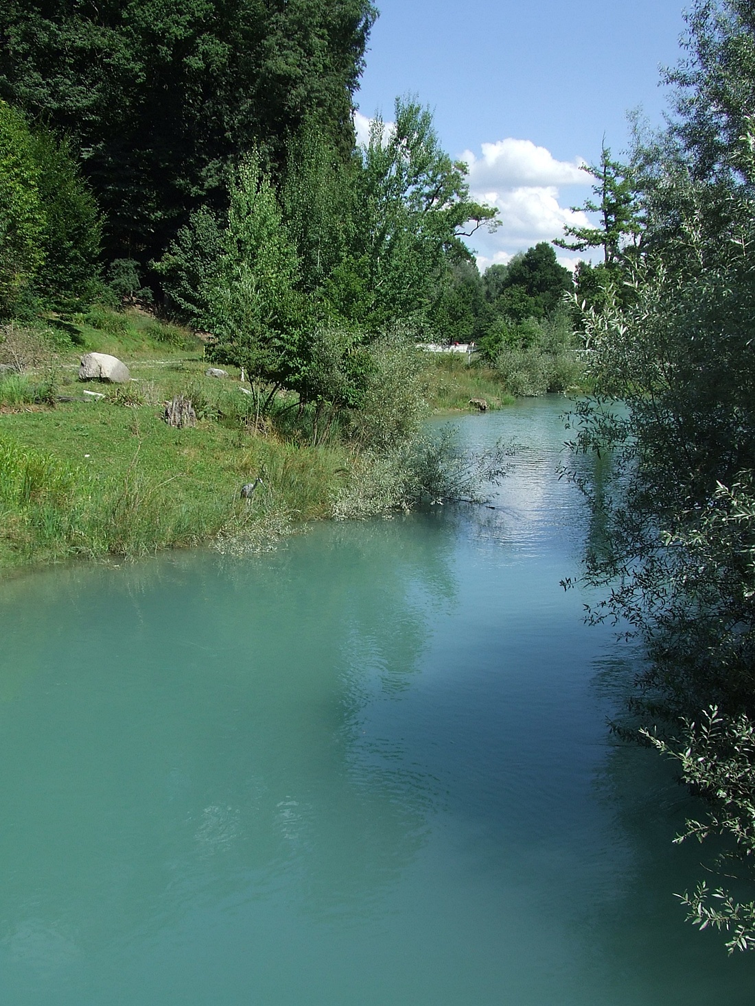 European Otter Exhibit