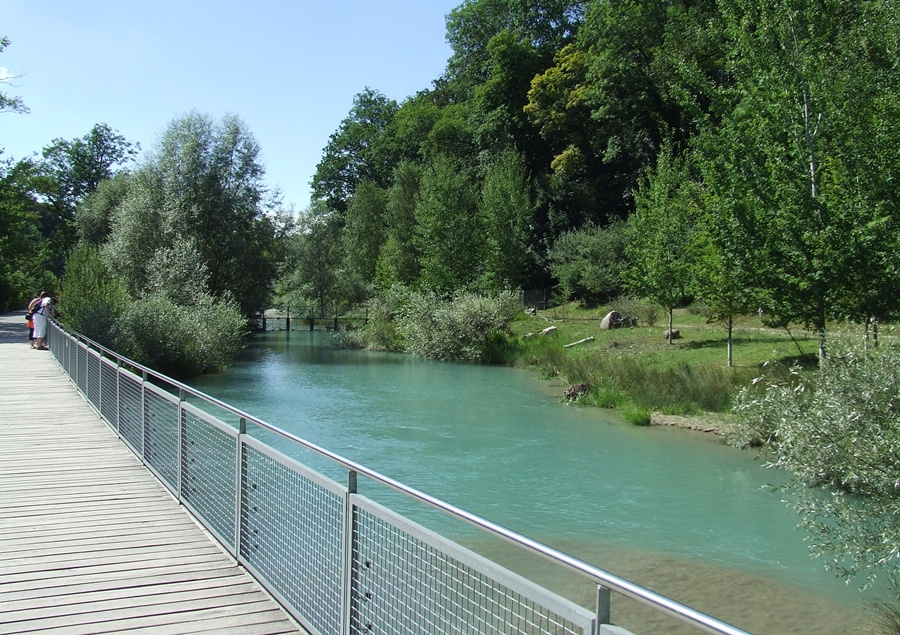 European Otter Exhibit