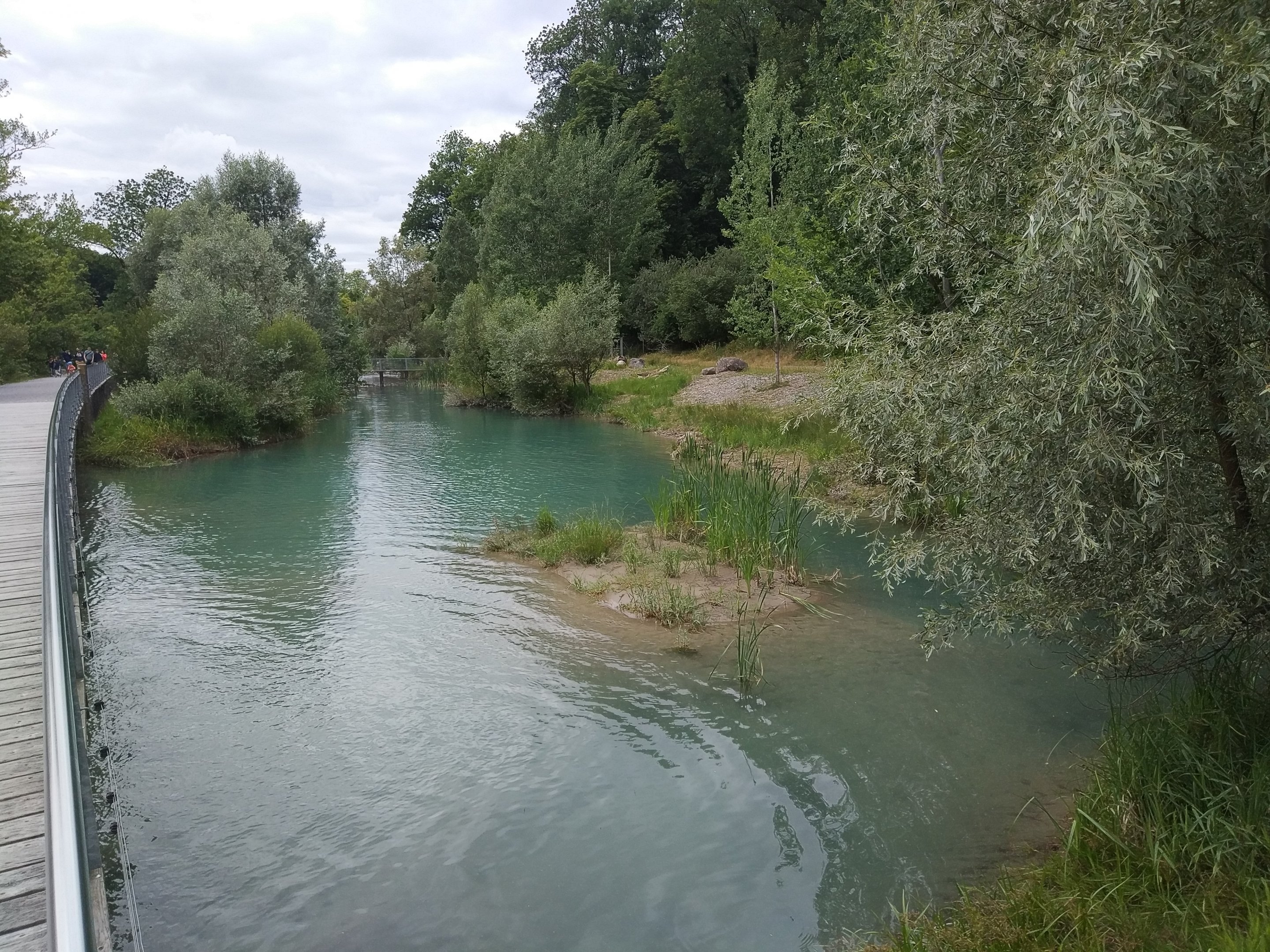 European Otter Exhibit